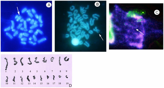 https://www.mdpi.com/animals/animals-13-00019/article_deploy/html/images/animals-13-00019-g003-550.jpg