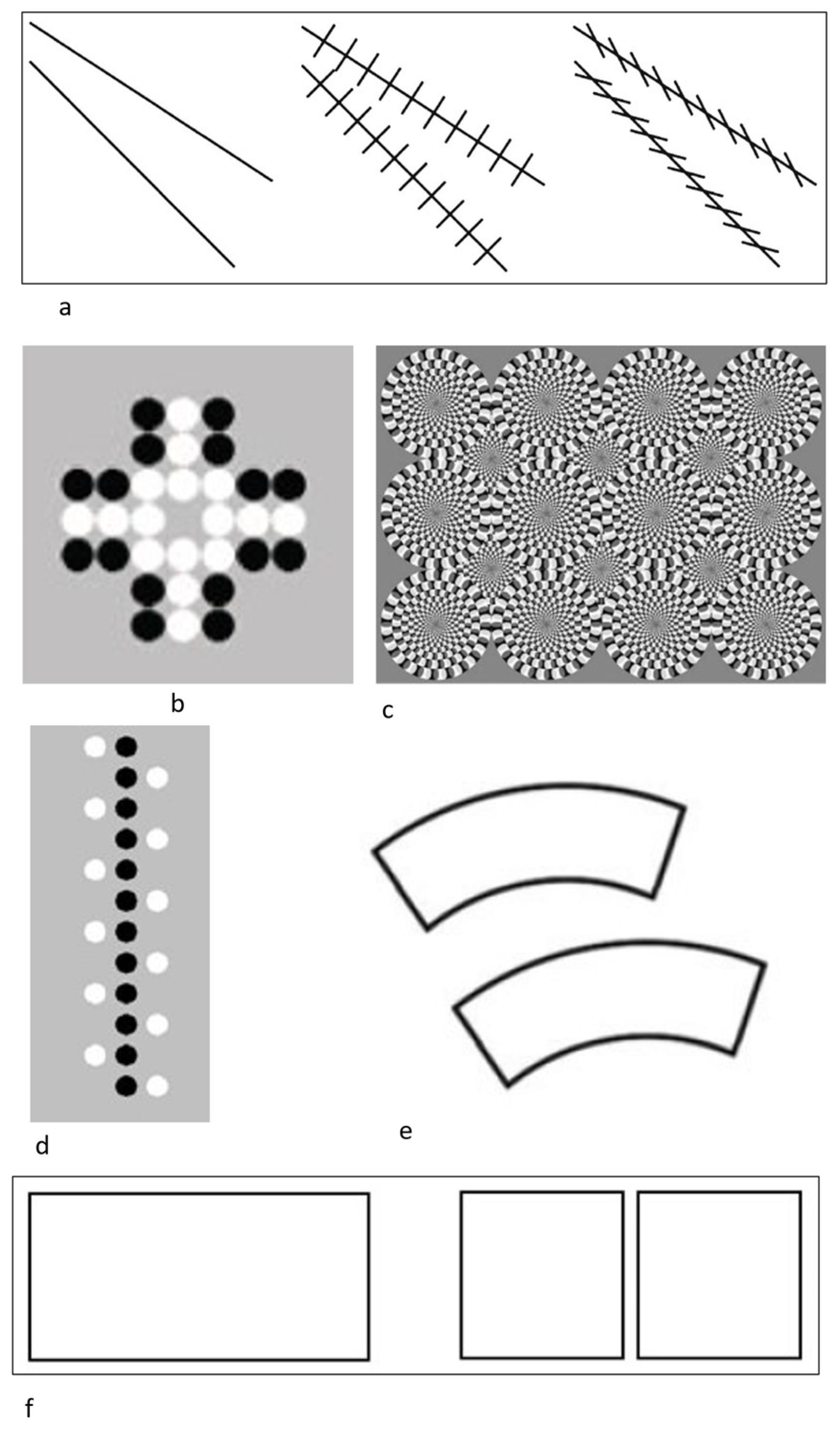 Animals 13 00022 g001