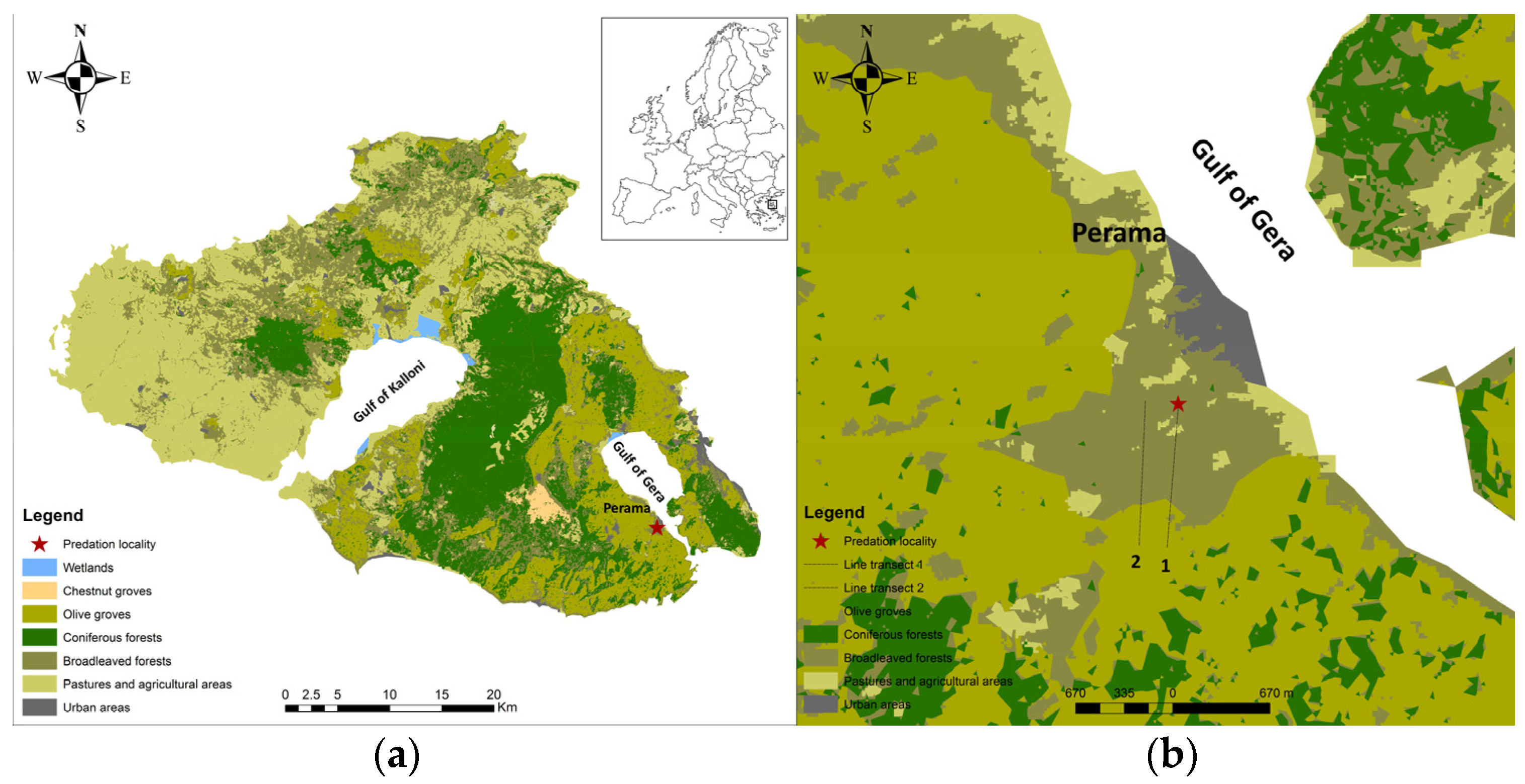 Animals 13 00024 g001 Animals 13 00024 g001