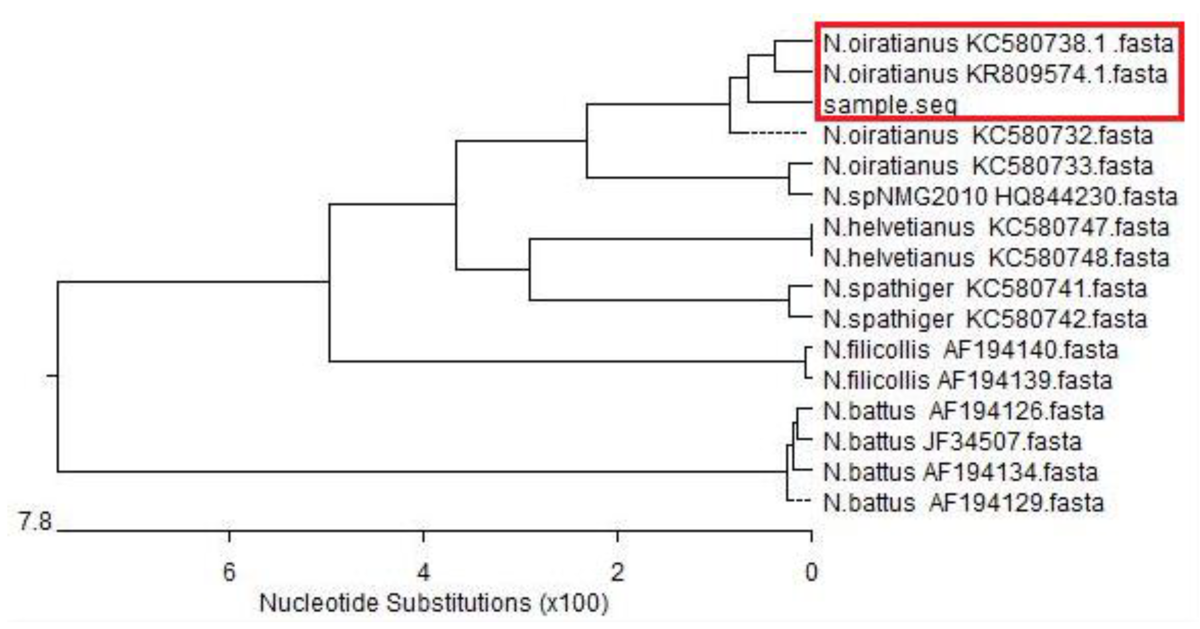 Animals 13 00030 g006 Animals 13 00030 g006