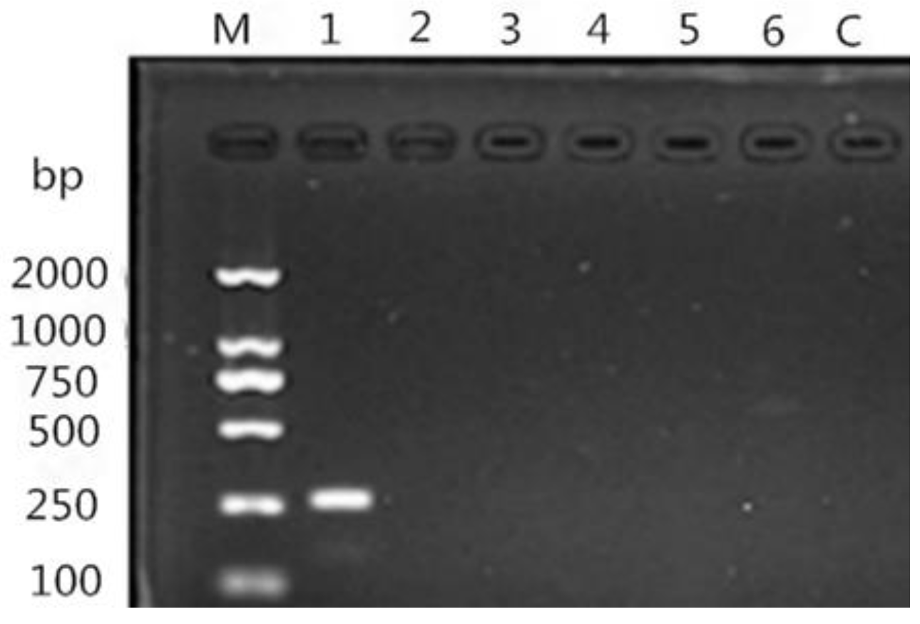 Animals 13 00030 g007 Animals 13 00030 g007