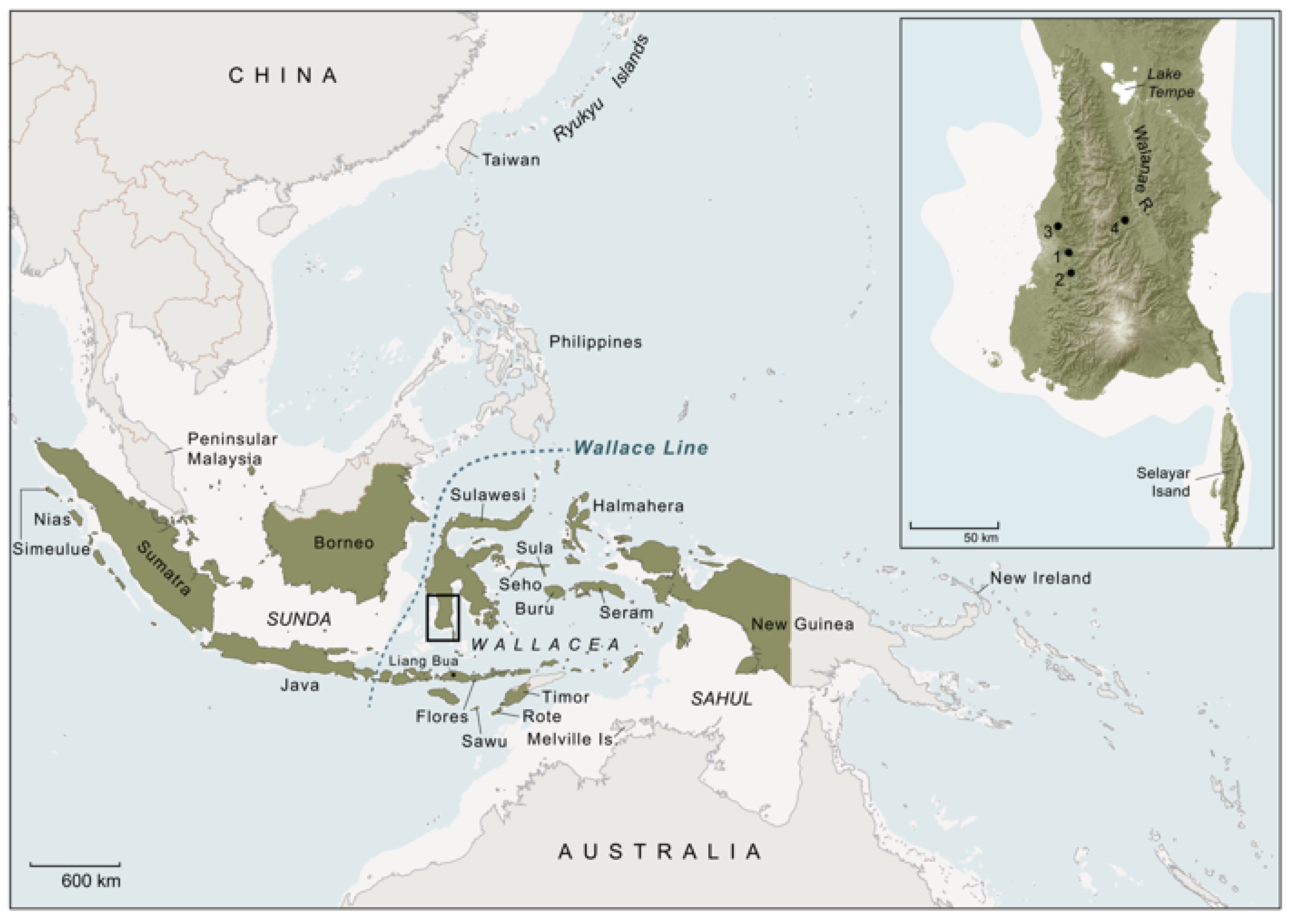 Animals 13 00048 g002