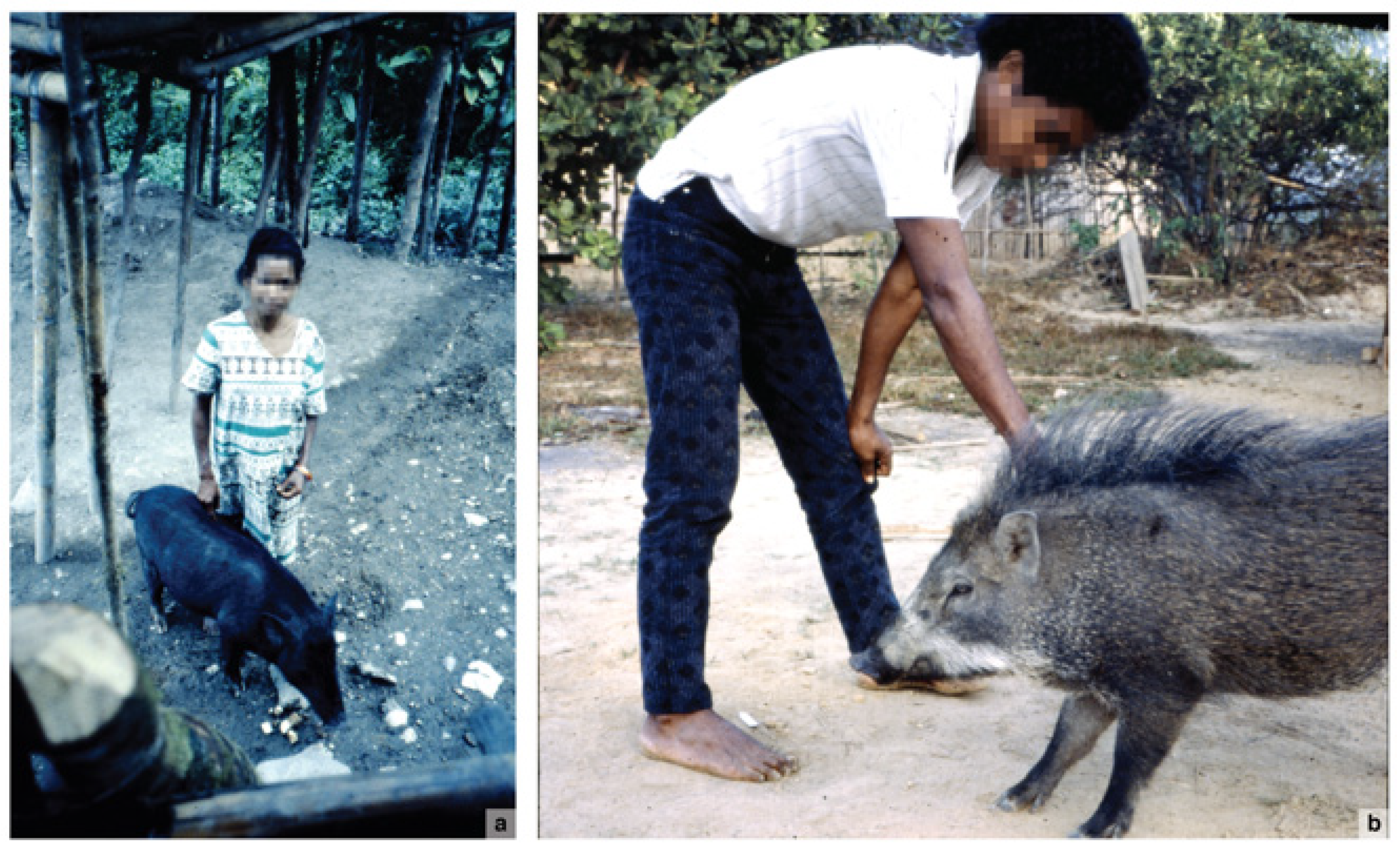 Animals 13 00048 g005