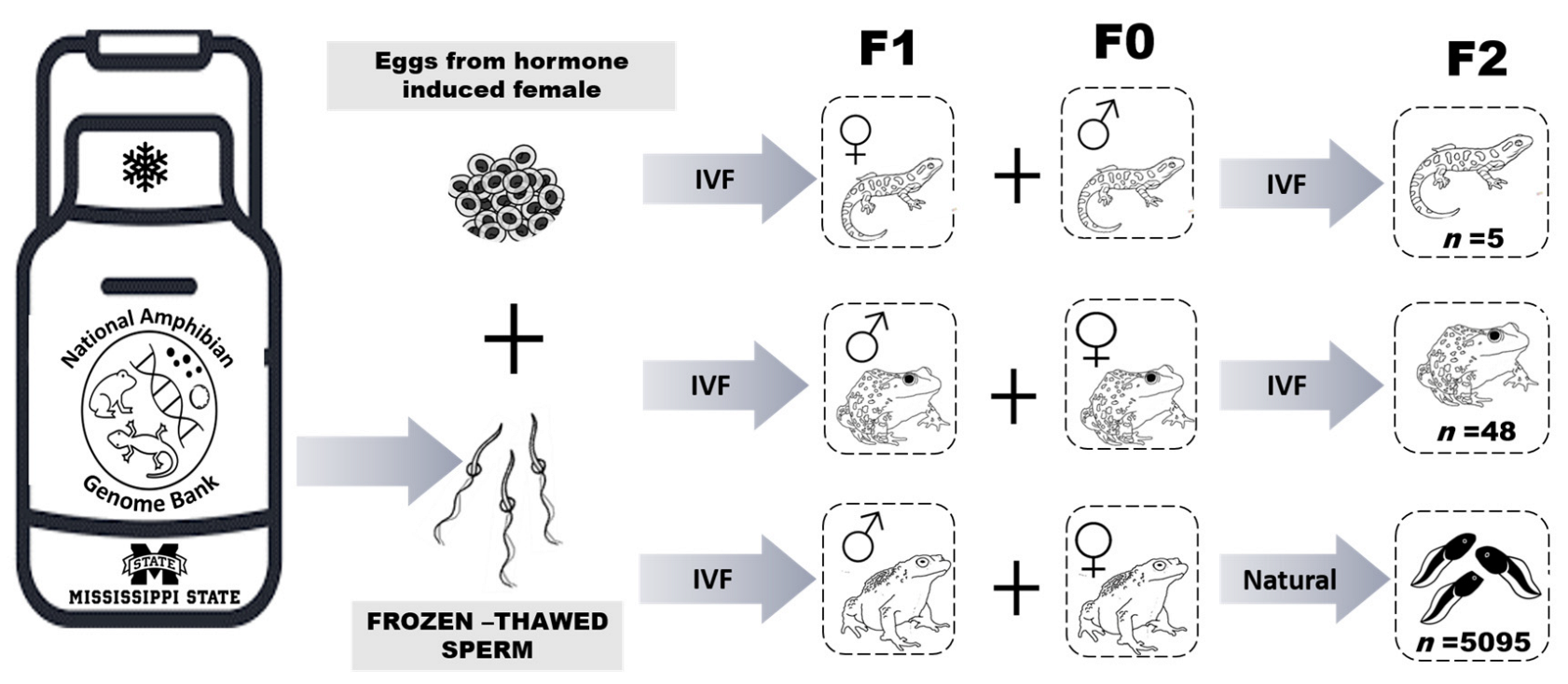 Animals 13 00053 g002 Animals 13 00053 g002