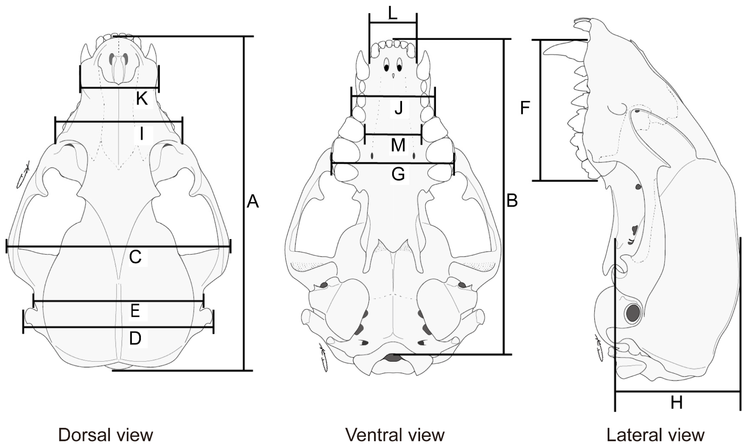 Animals 13 00055 g001 Animals 13 00055 g001