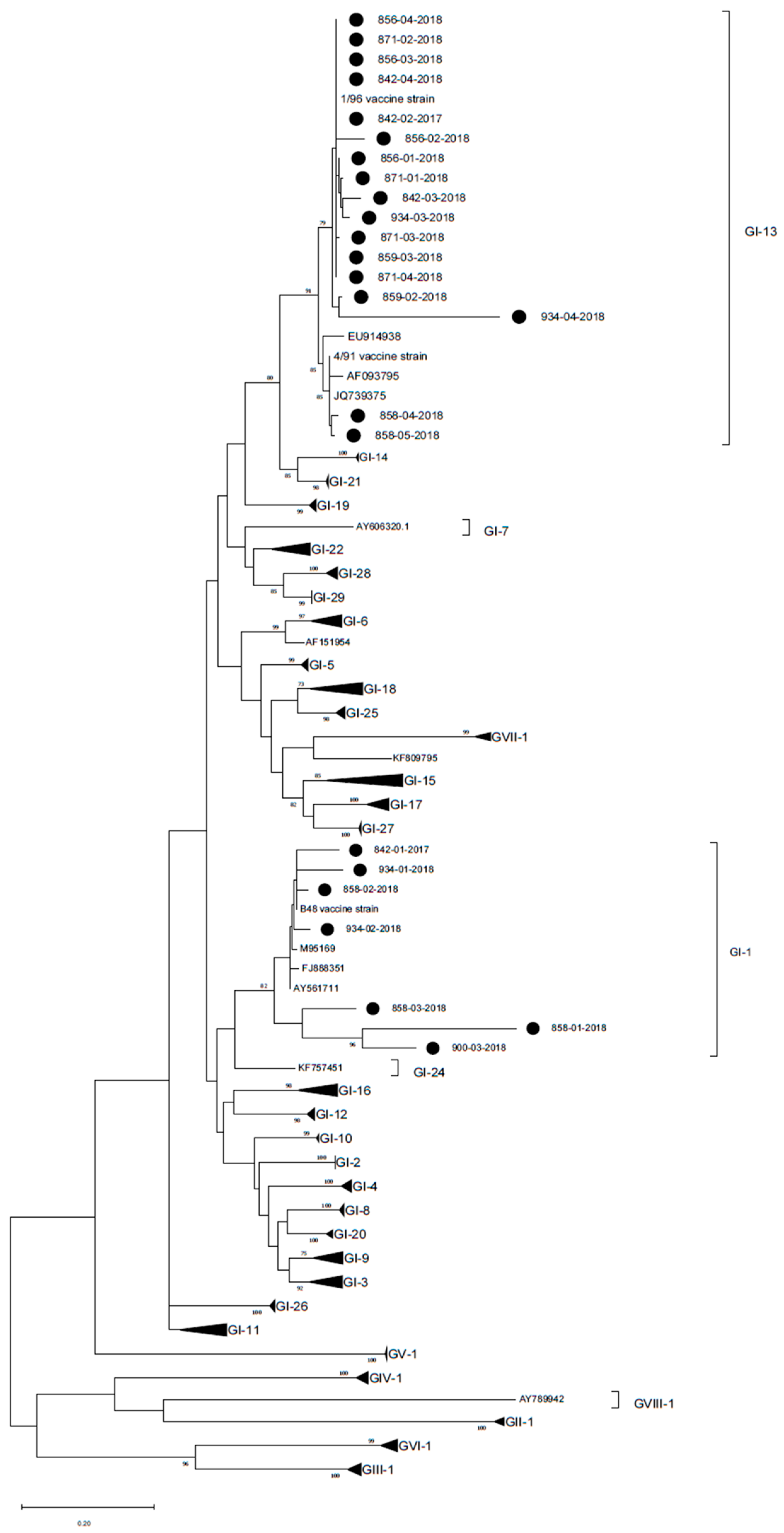 Animals 13 00057 g004