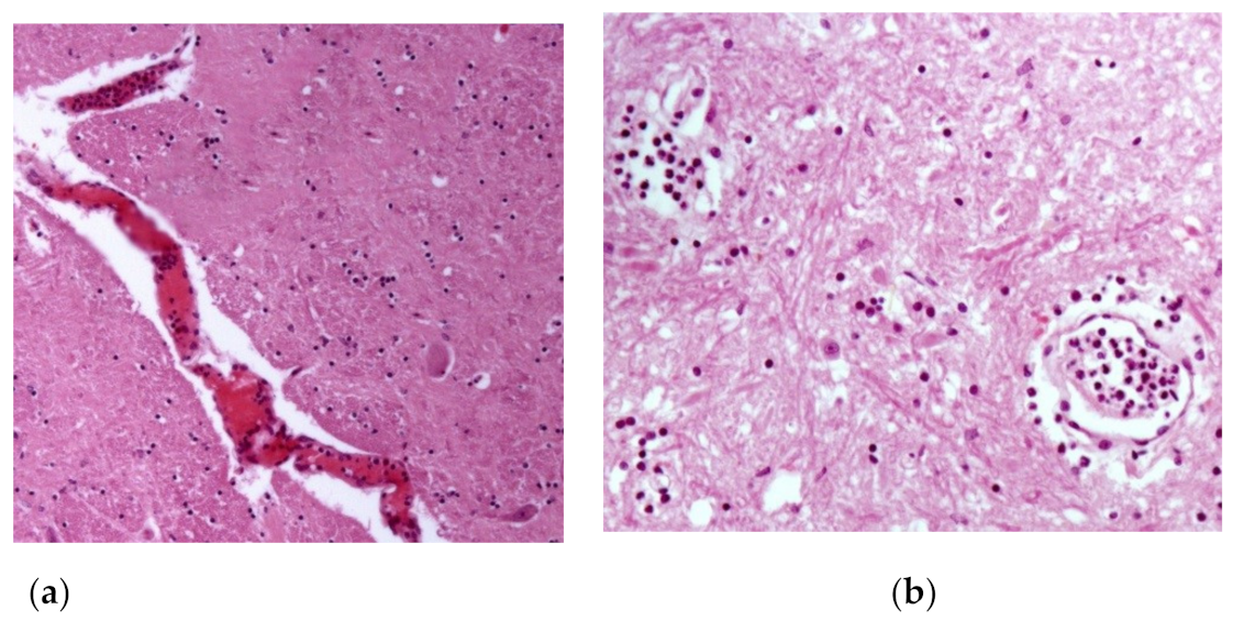 Animals 13 00059 g004 Animals 13 00059 g004