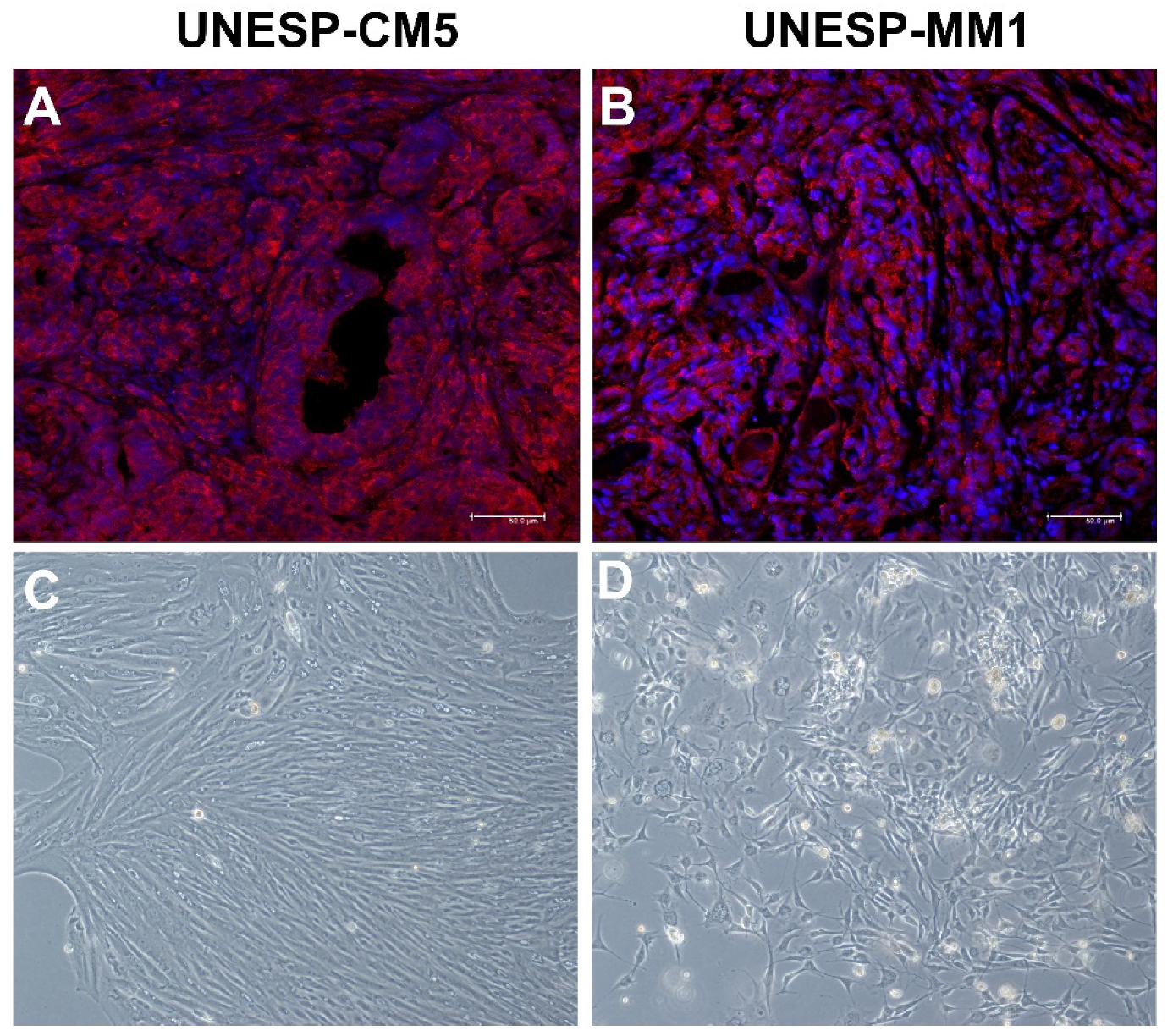 Animals 13 00060 g001