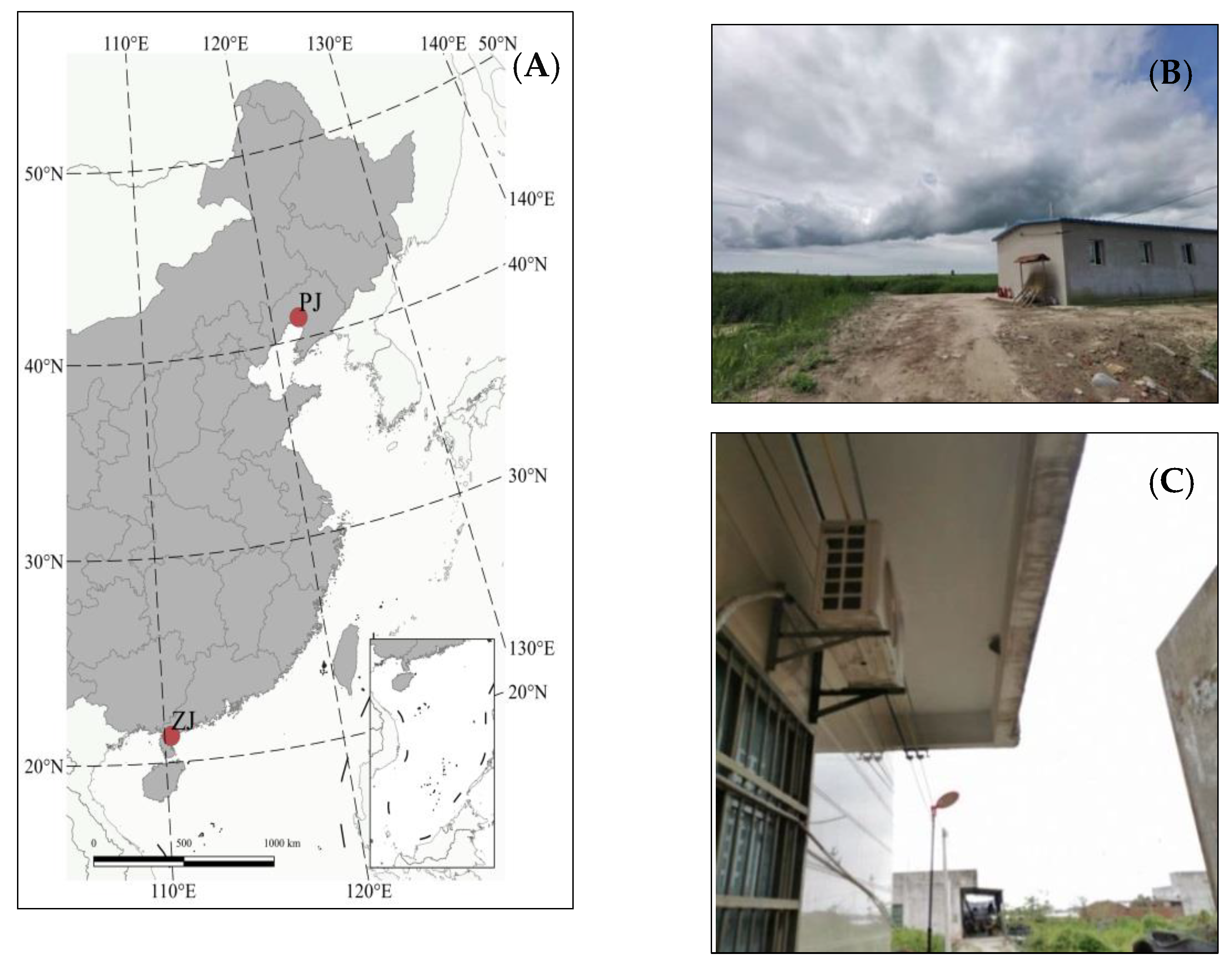 Animals | Free Full-Text | Reproductive Success of a Tropical Barn Swallow Hirundo rustica Population Is Lower Than That in Temperate Regions Animals | Free Full-Text | Reproductive Success of a Tropical Barn Swallow Hirundo rustica Population Is Lower Than That in Temperate Regions
