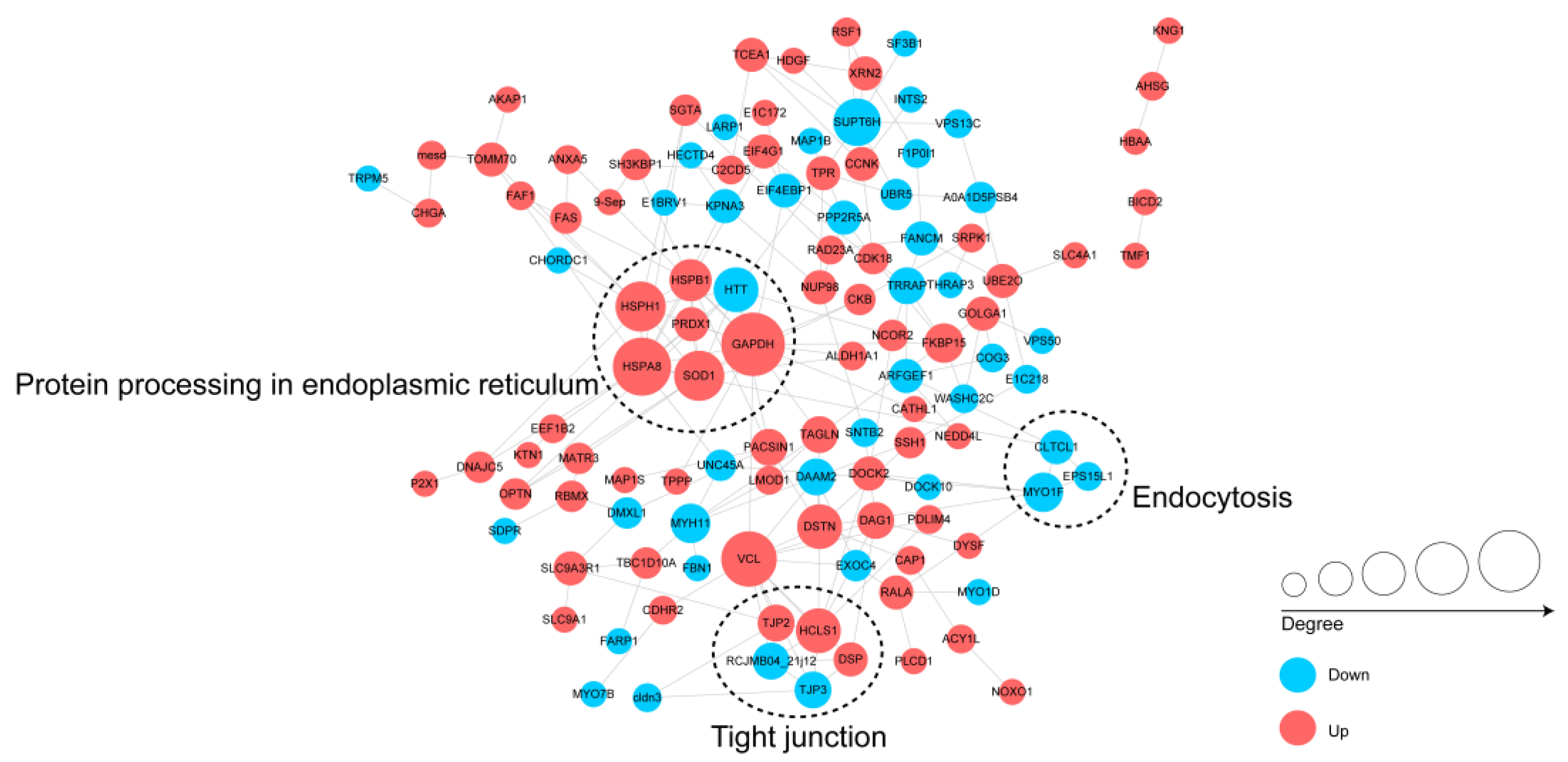 Animals 13 00078 g006