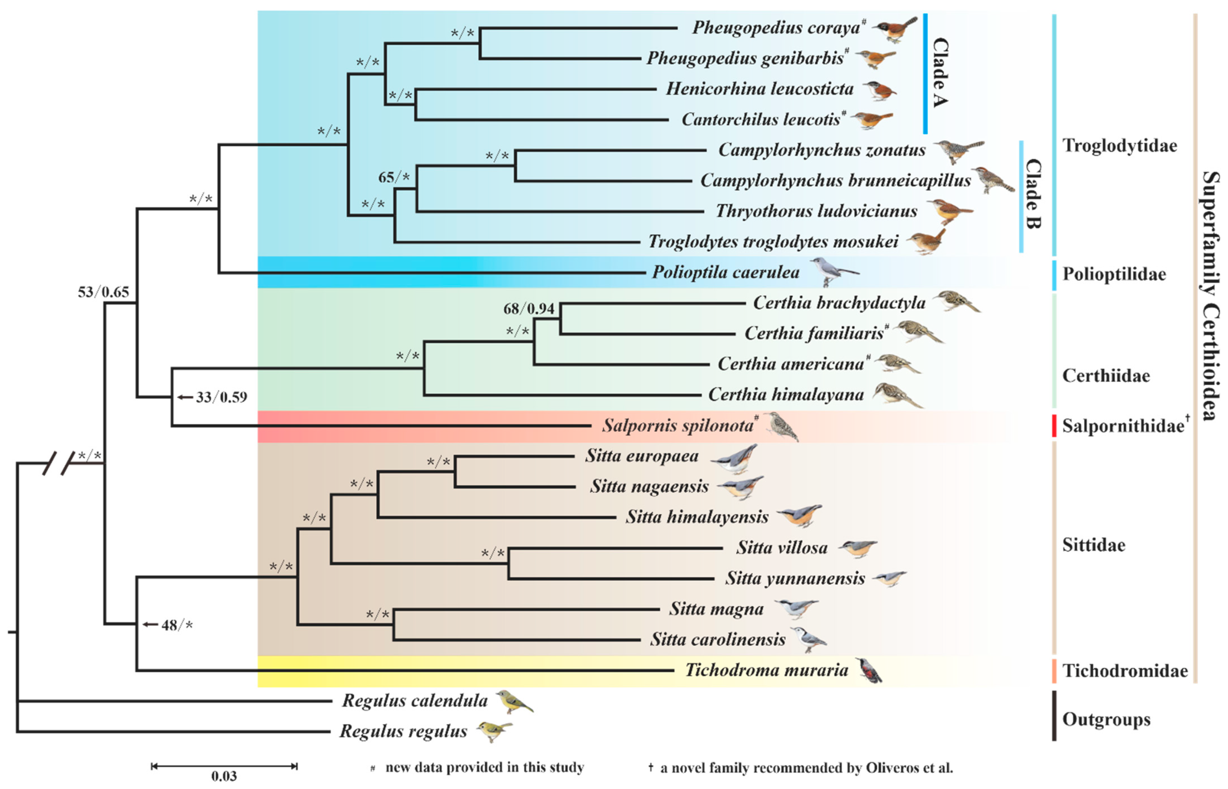 Animals 13 00096 g006