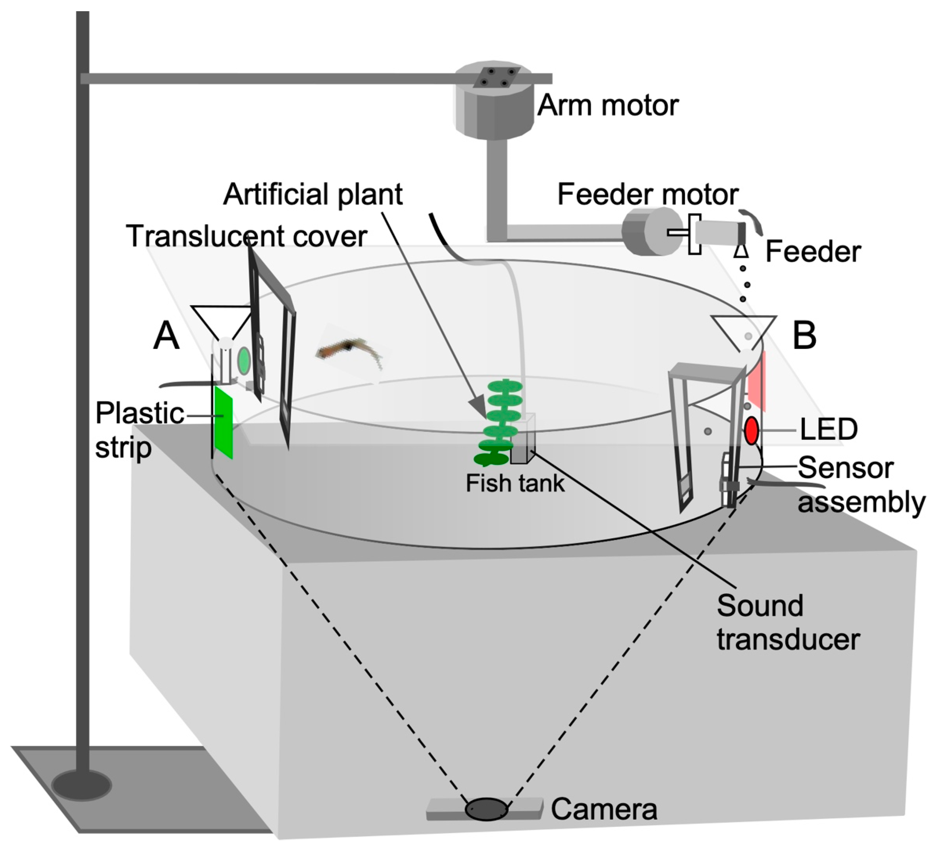 Animals 13 00116 g001 Animals 13 00116 g001