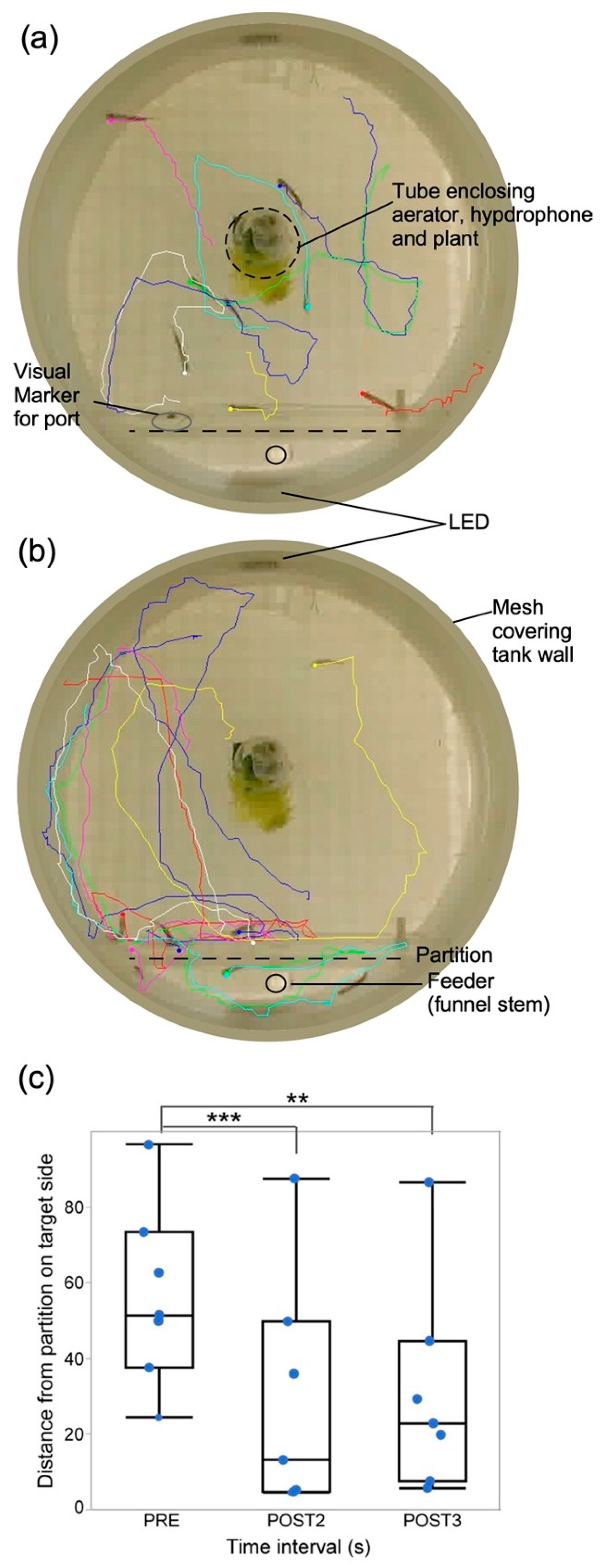 Animals 13 00116 g004 Animals 13 00116 g004