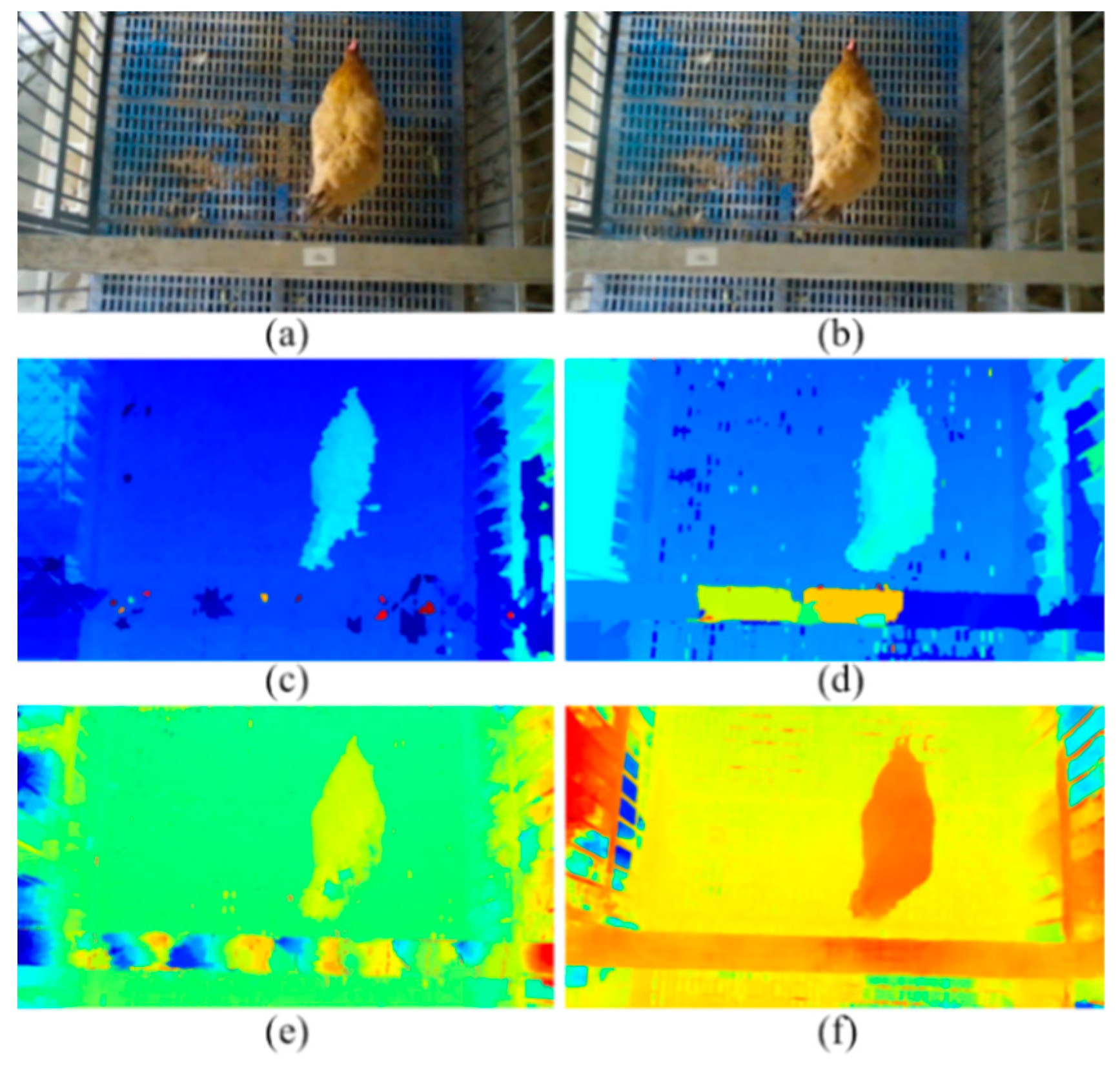 Animals 13 00126 g014 Animals 13 00126 g014