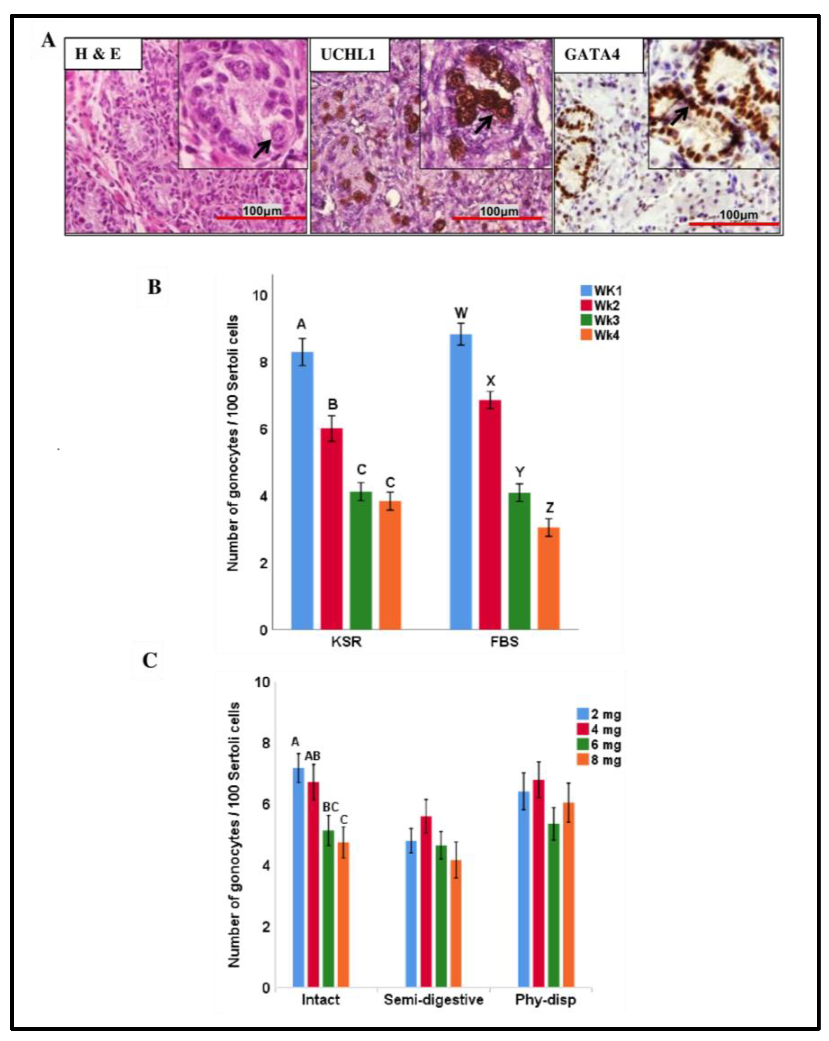 Animals 13 00128 g006