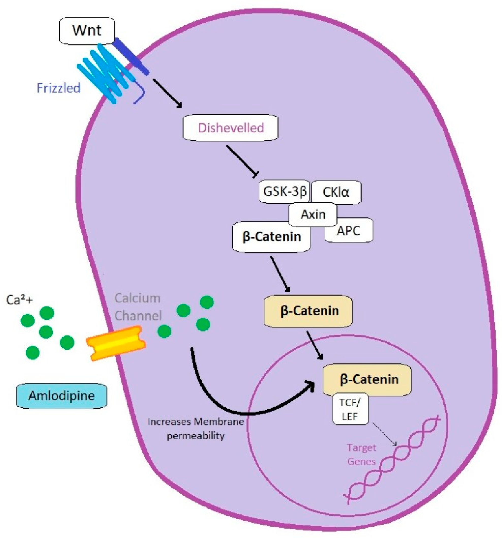 Animals 13 00139 g002 Animals 13 00139 g002