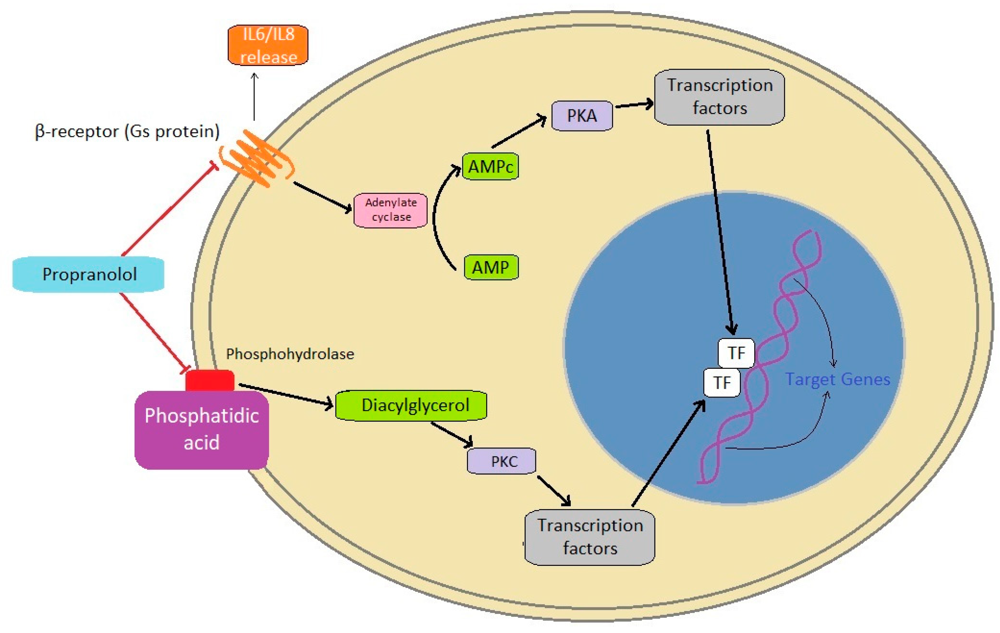 Animals 13 00139 g003 Animals 13 00139 g003