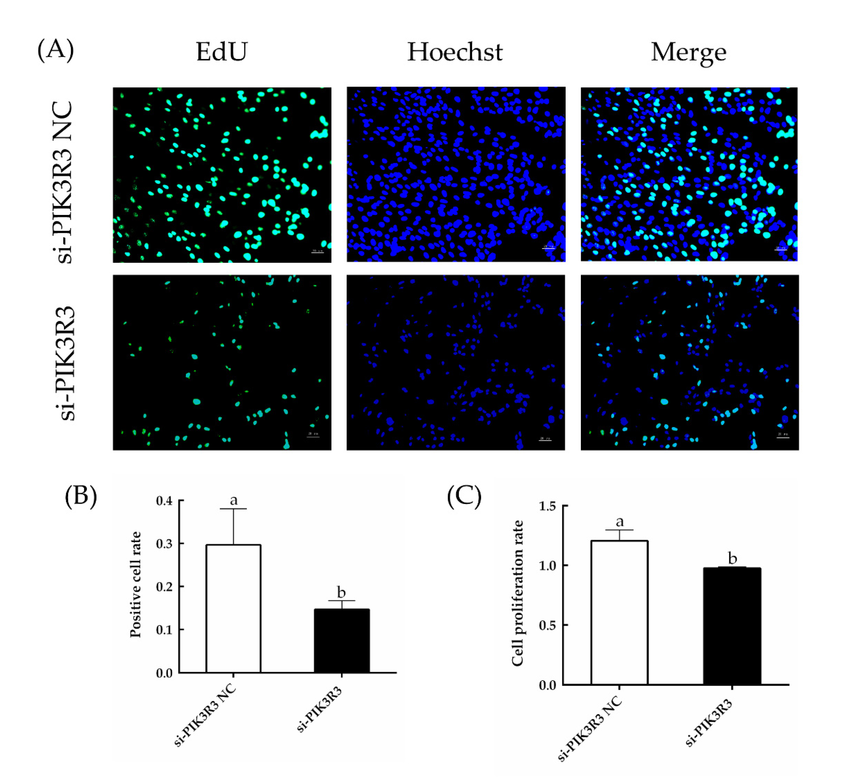 Animals 13 00141 g002