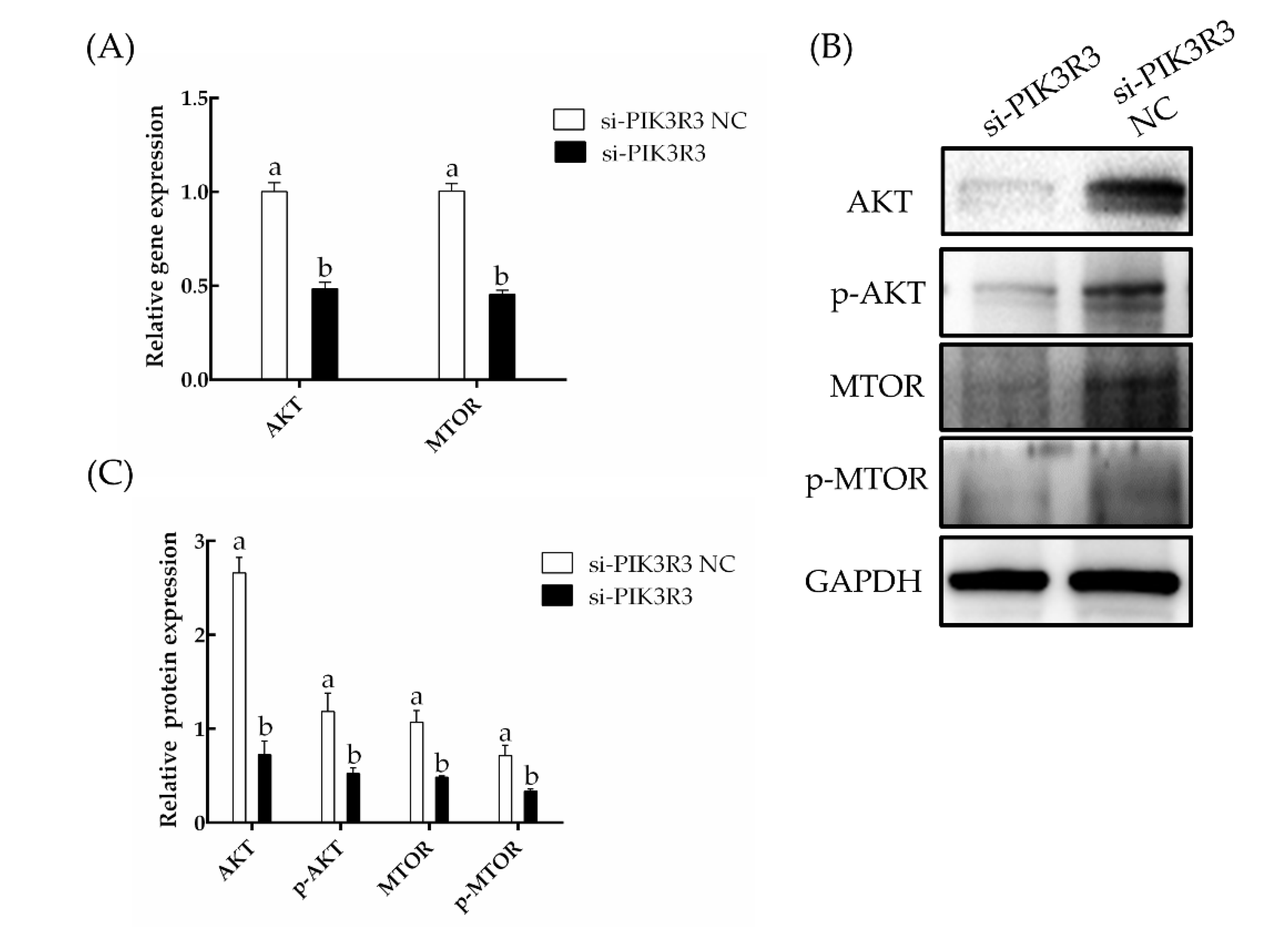 Animals 13 00141 g004
