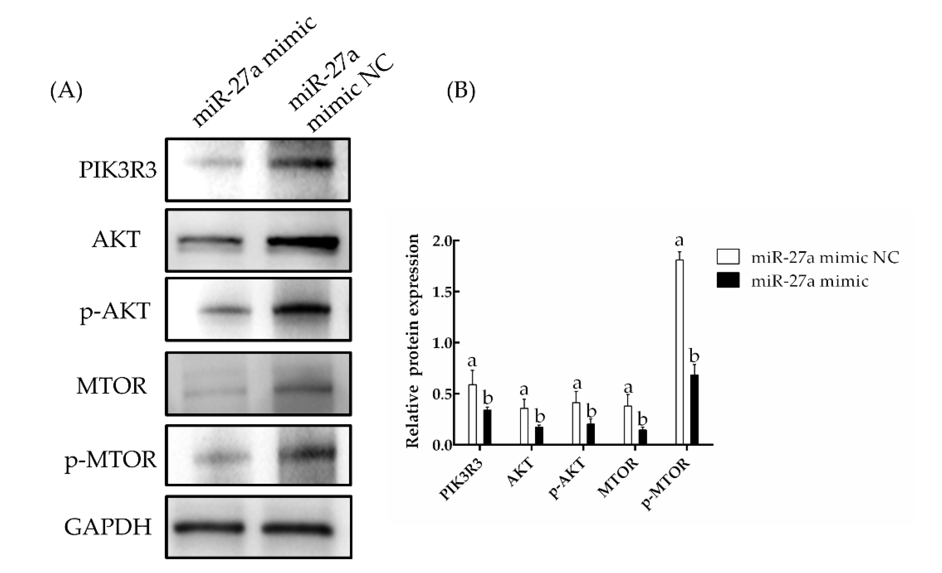 Animals 13 00141 g007