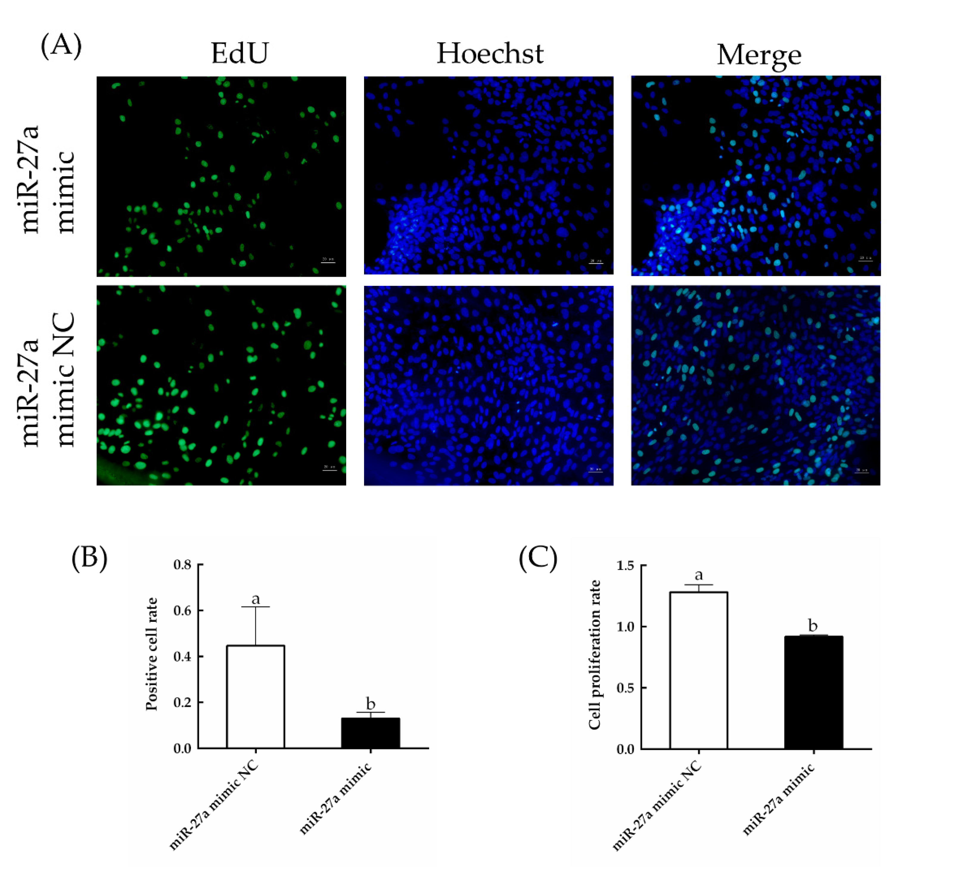 Animals 13 00141 g008