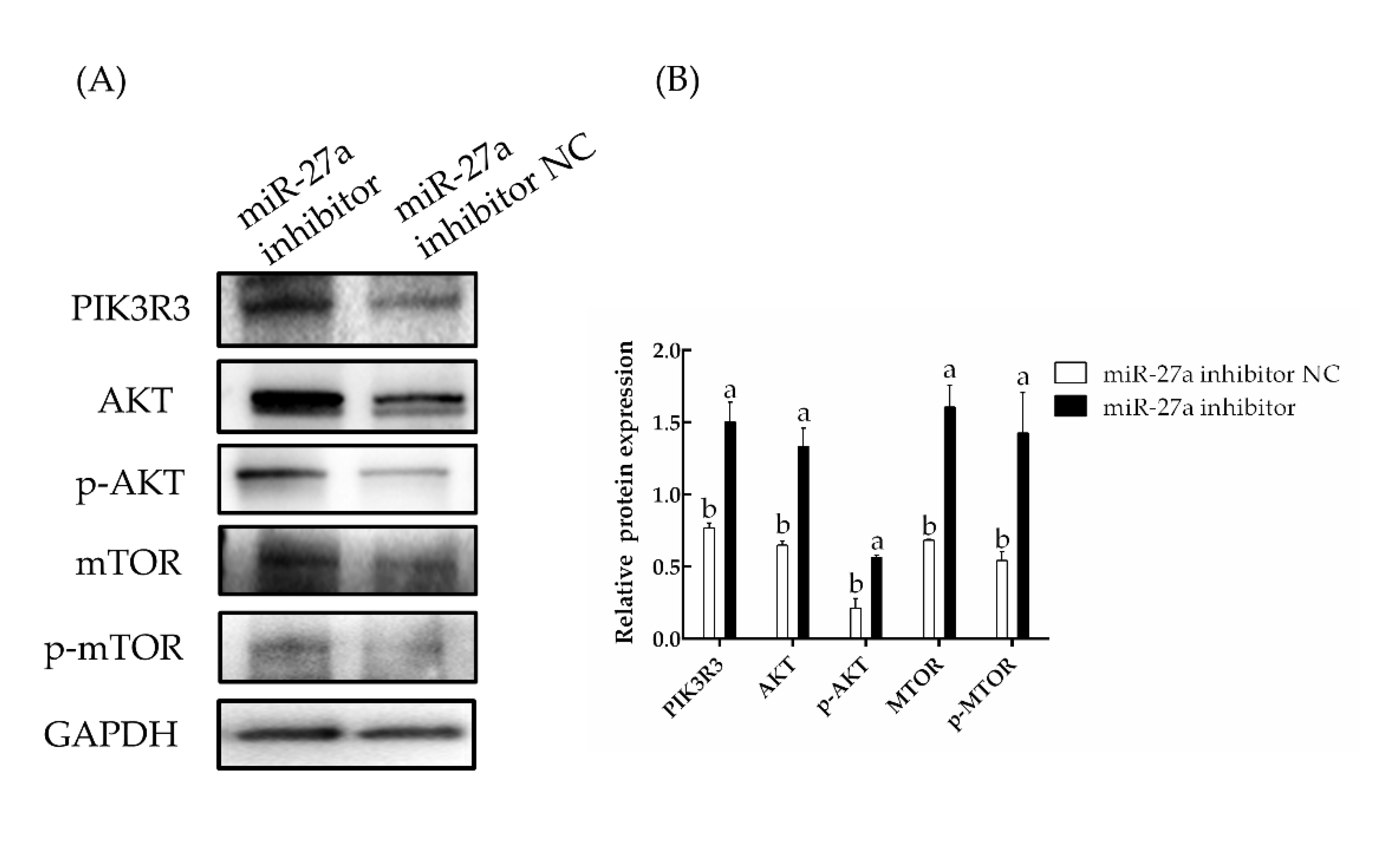 Animals 13 00141 g011