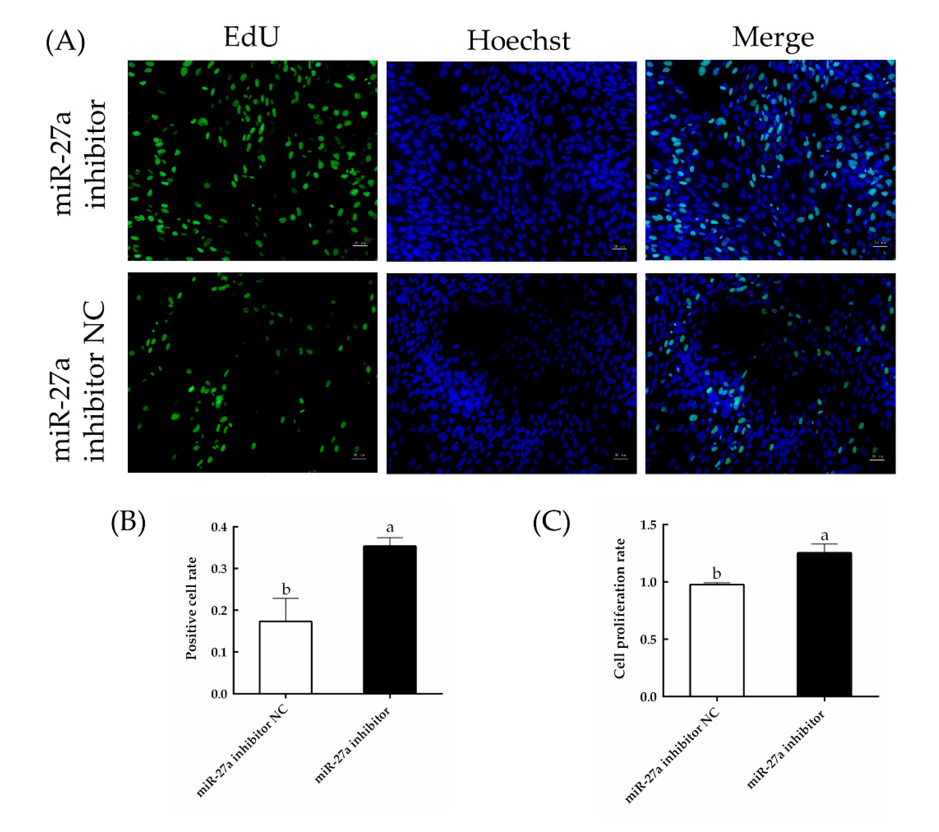 Animals 13 00141 g012