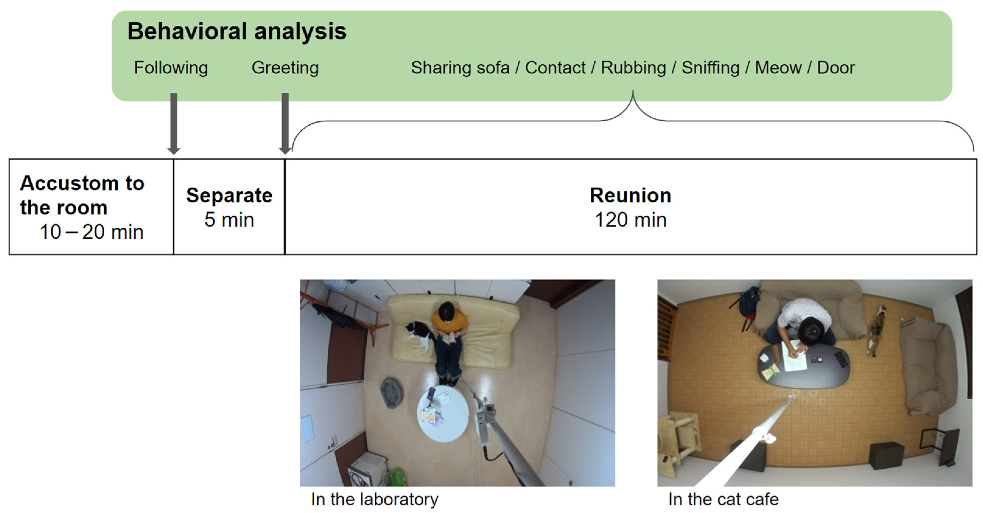 Animals 13 00146 g001