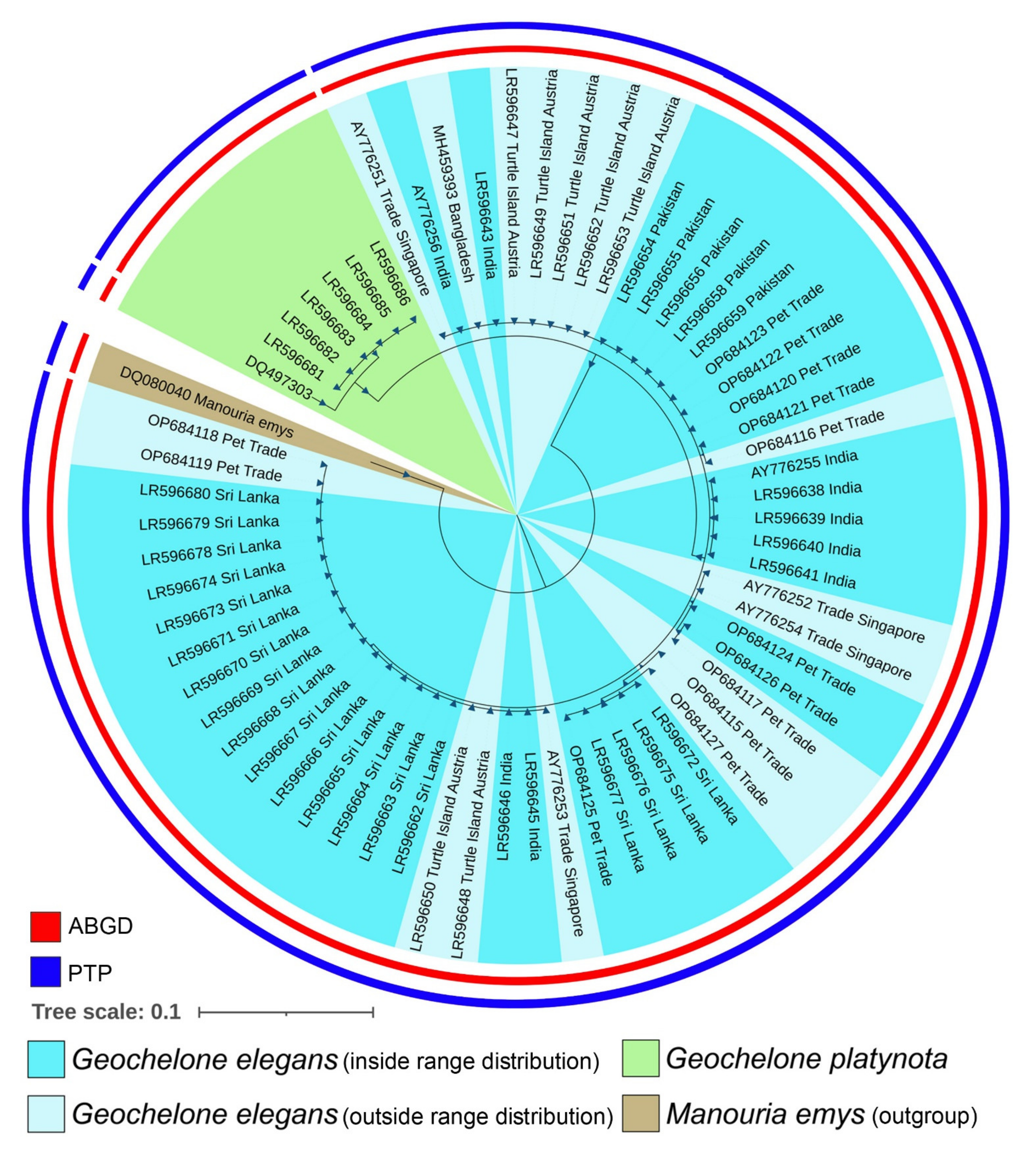 Animals 13 00150 g003 Animals 13 00150 g003