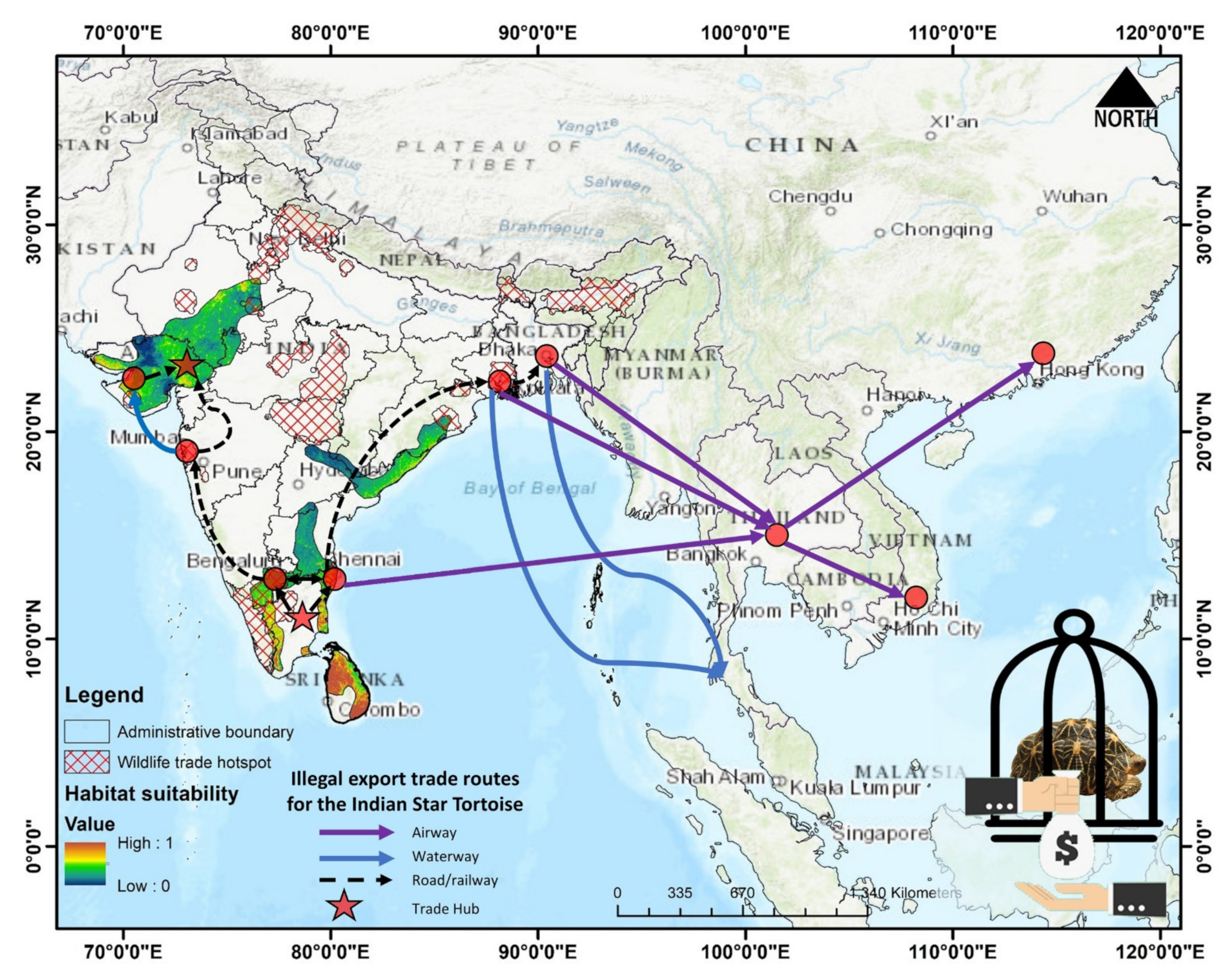Animals 13 00150 g006 Animals 13 00150 g006