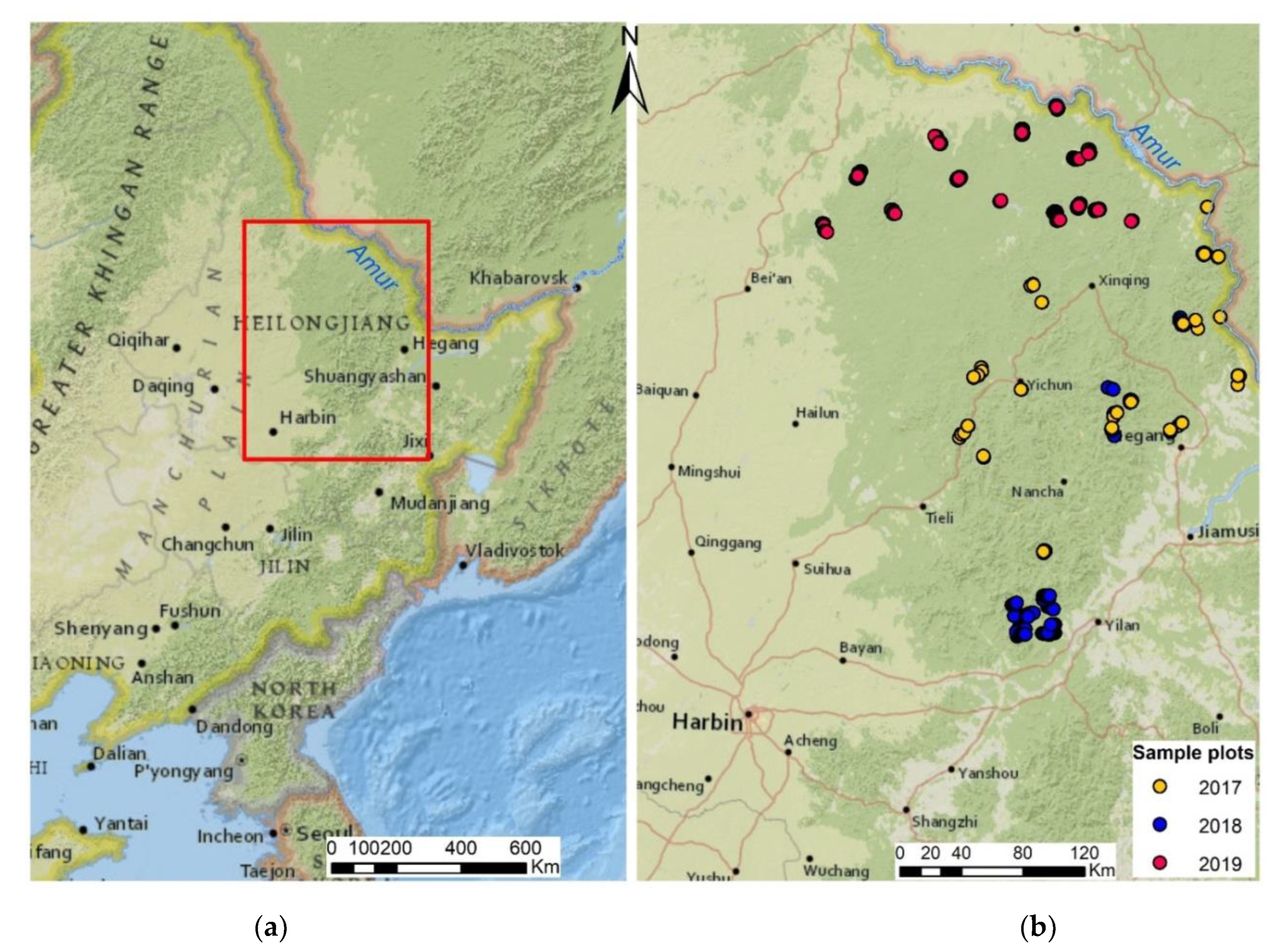 Animals 13 00155 g001