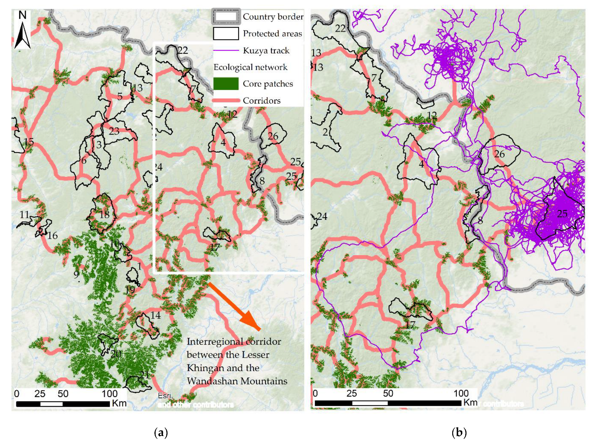 Animals 13 00155 g007