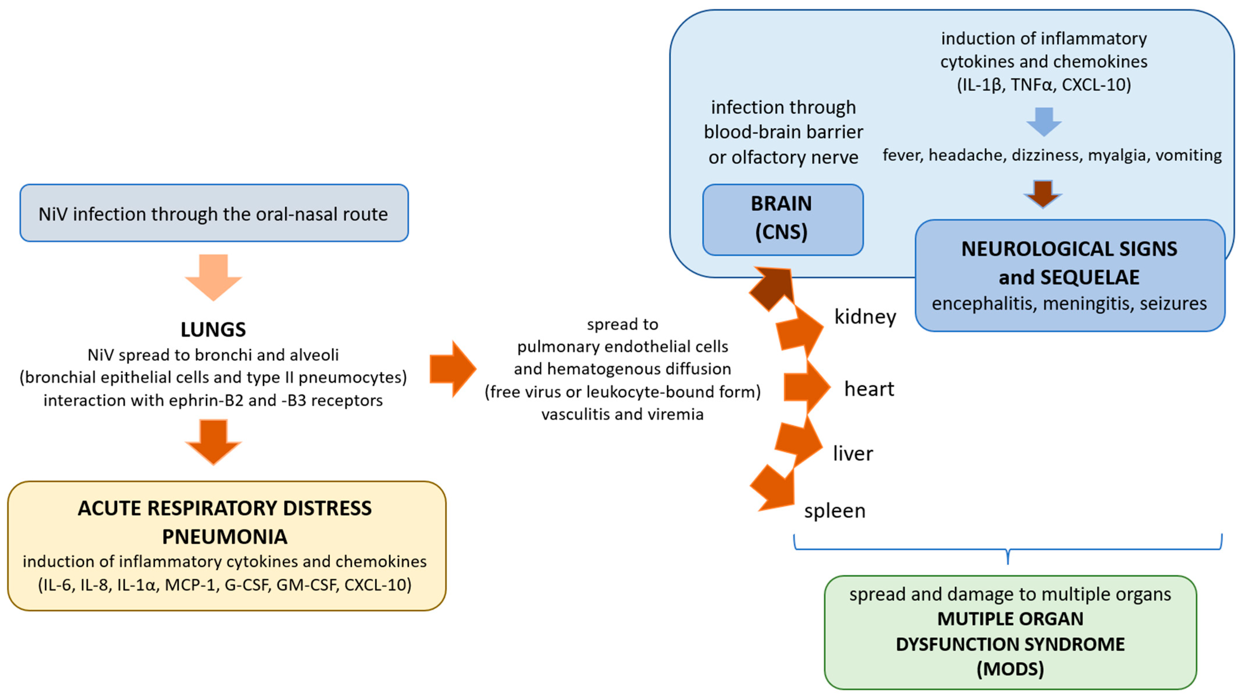 Animals 13 00159 g004 Animals 13 00159 g004