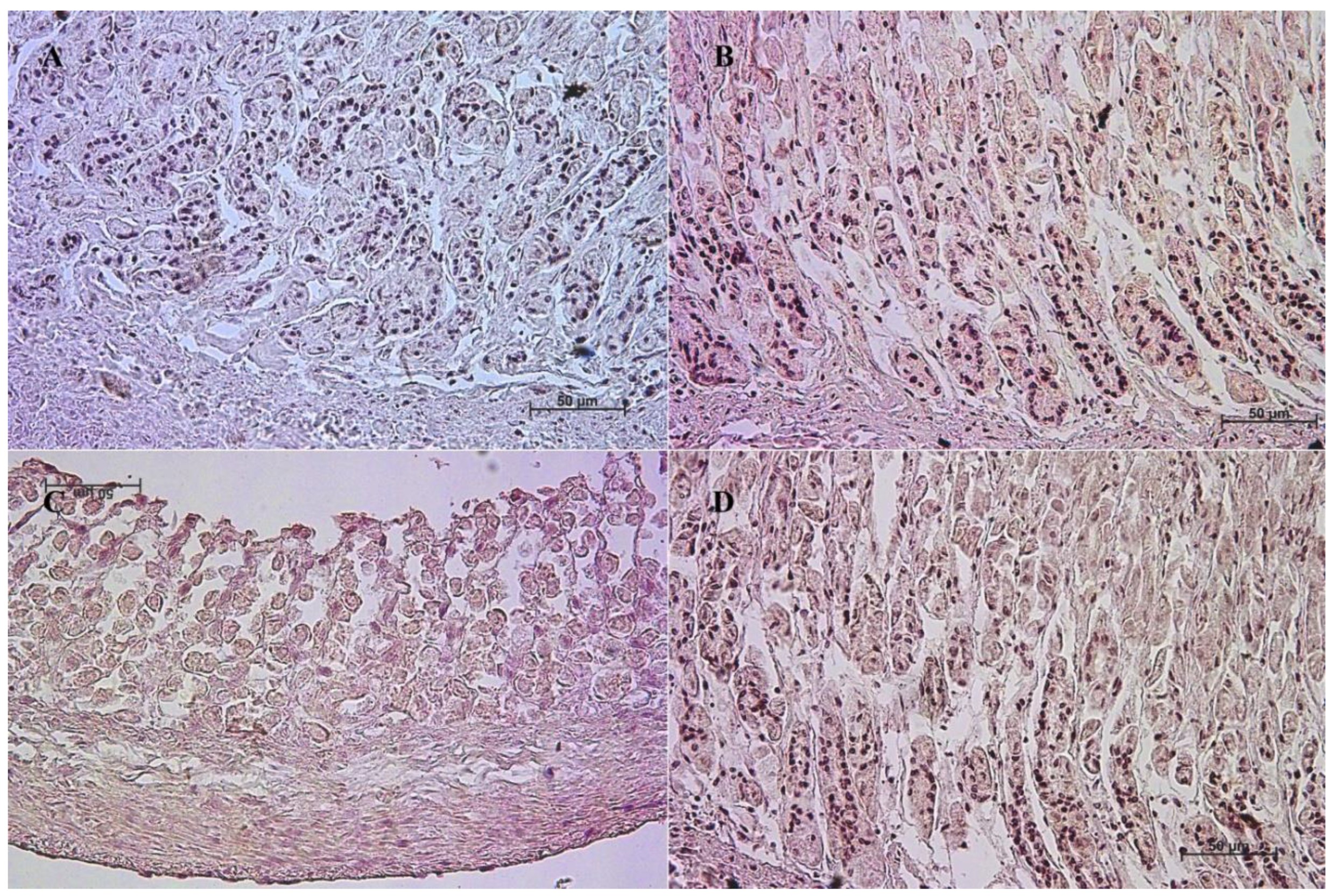 Animals 13 00161 g002