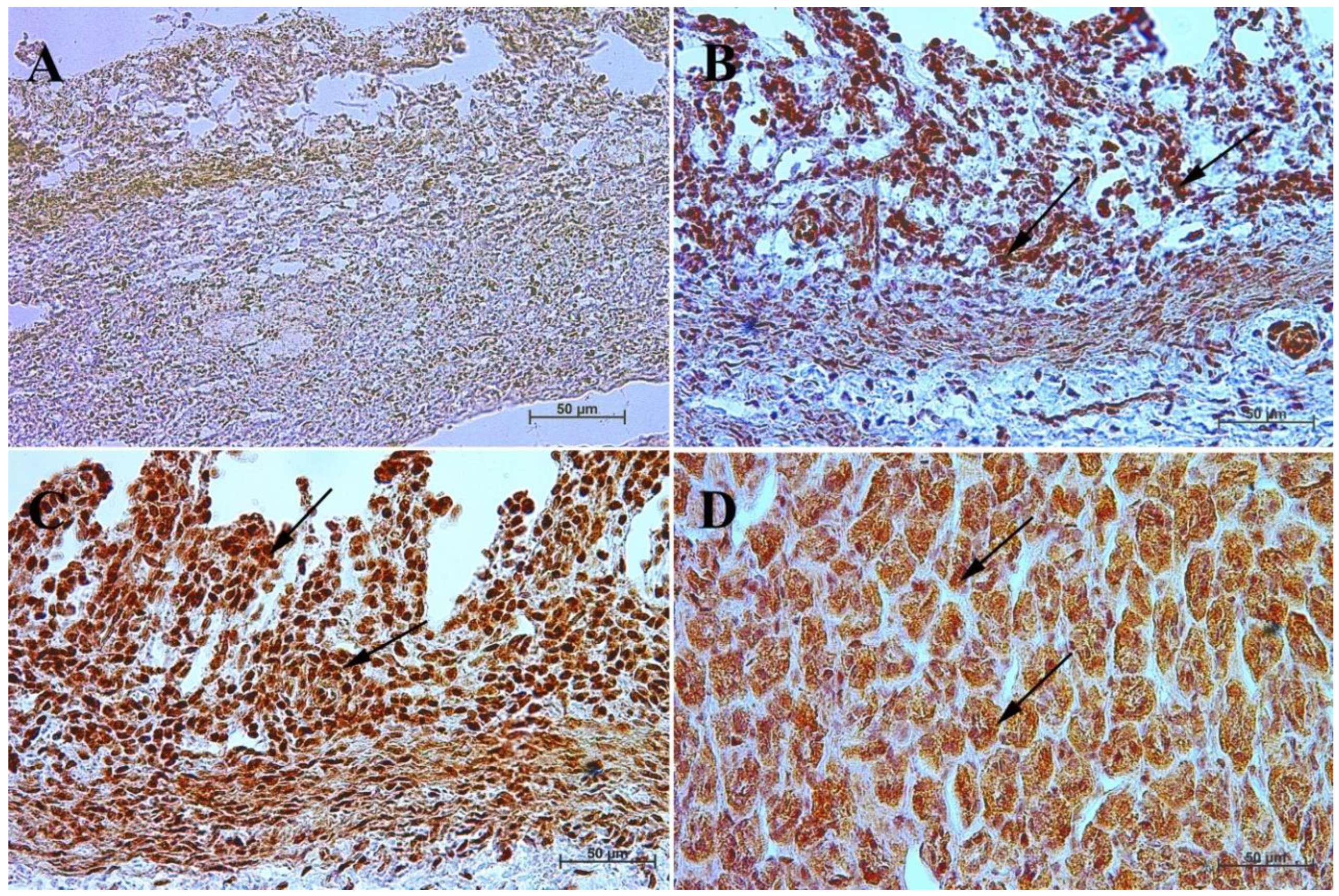 Animals 13 00161 g003