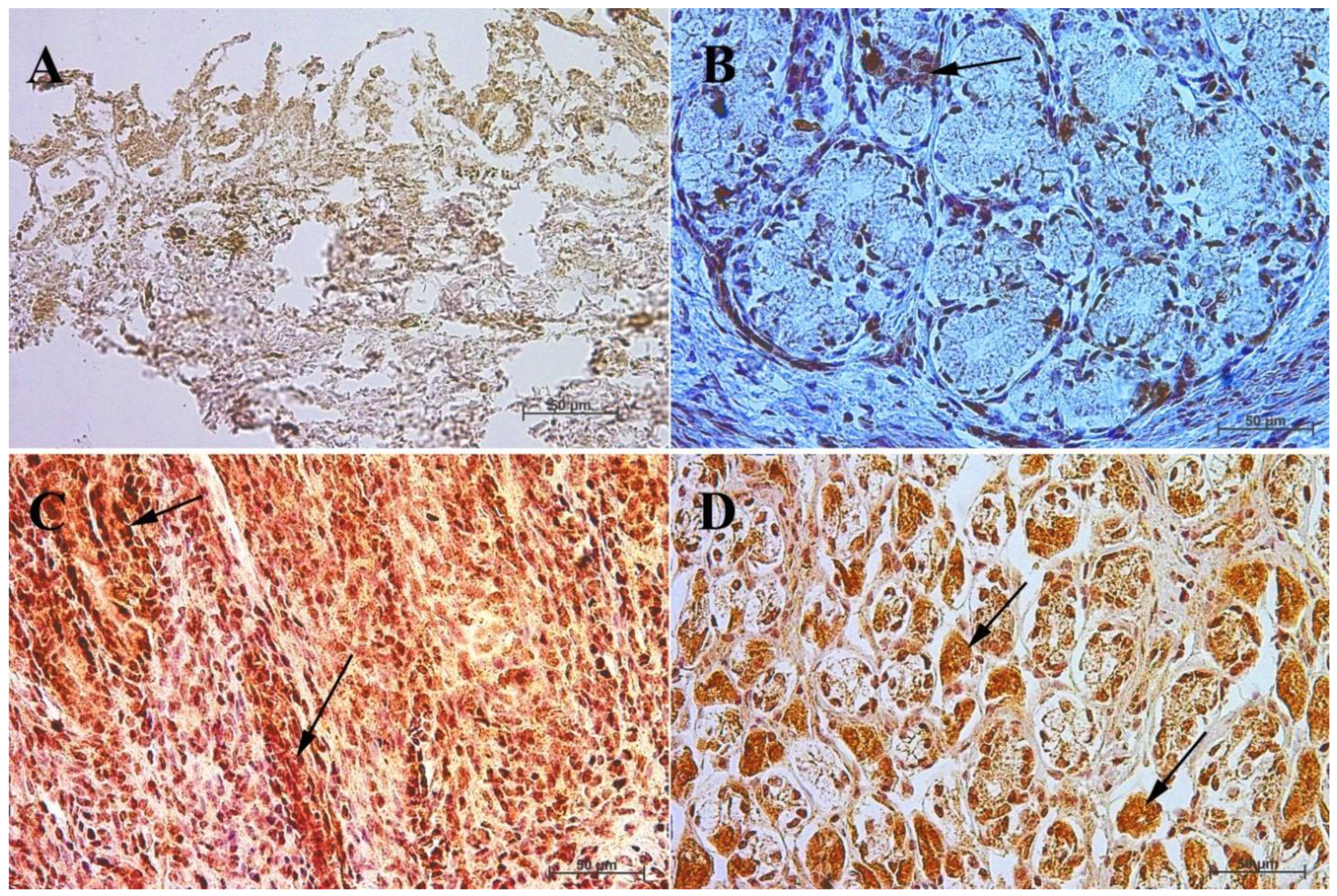 Animals 13 00161 g004