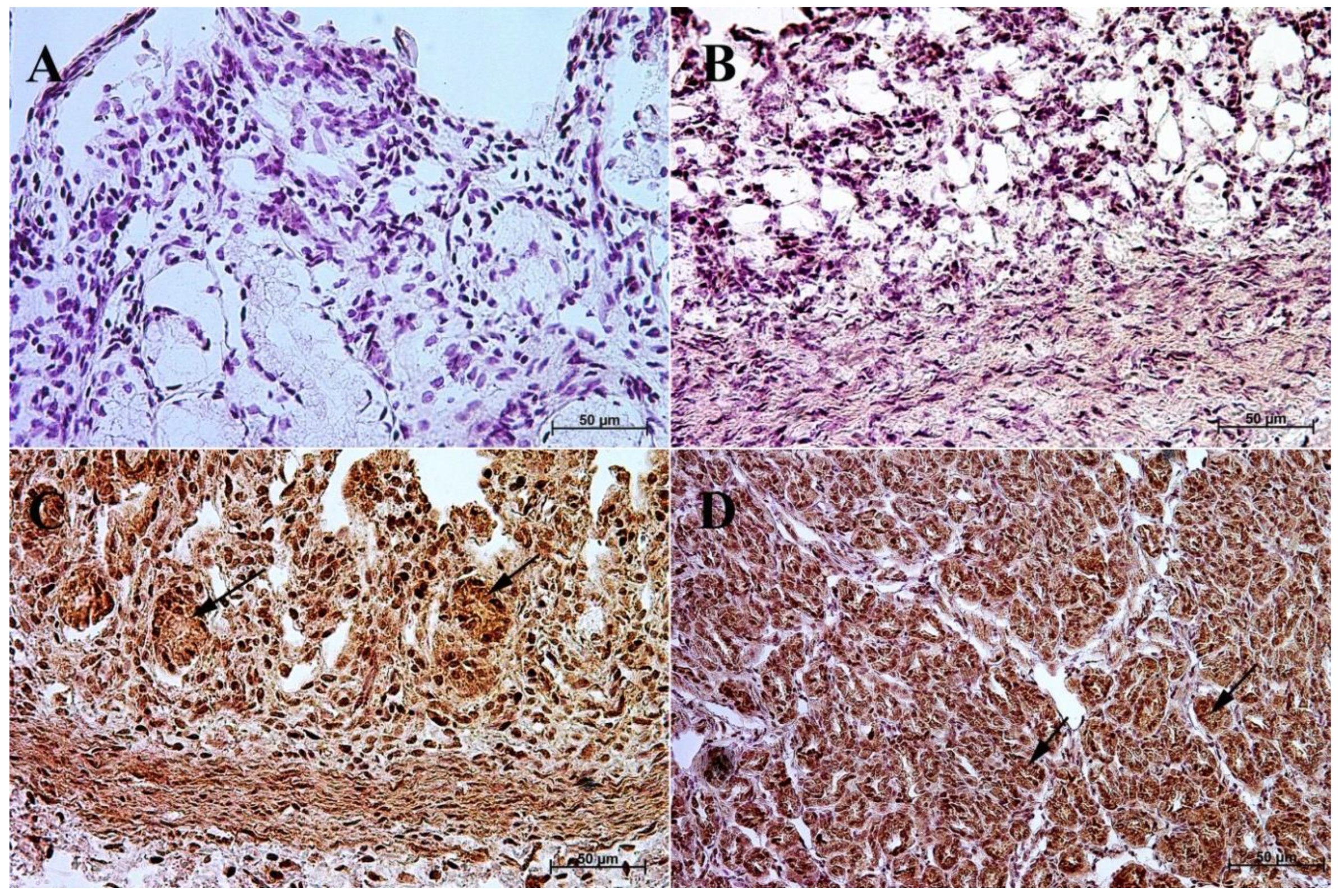 Animals 13 00161 g005