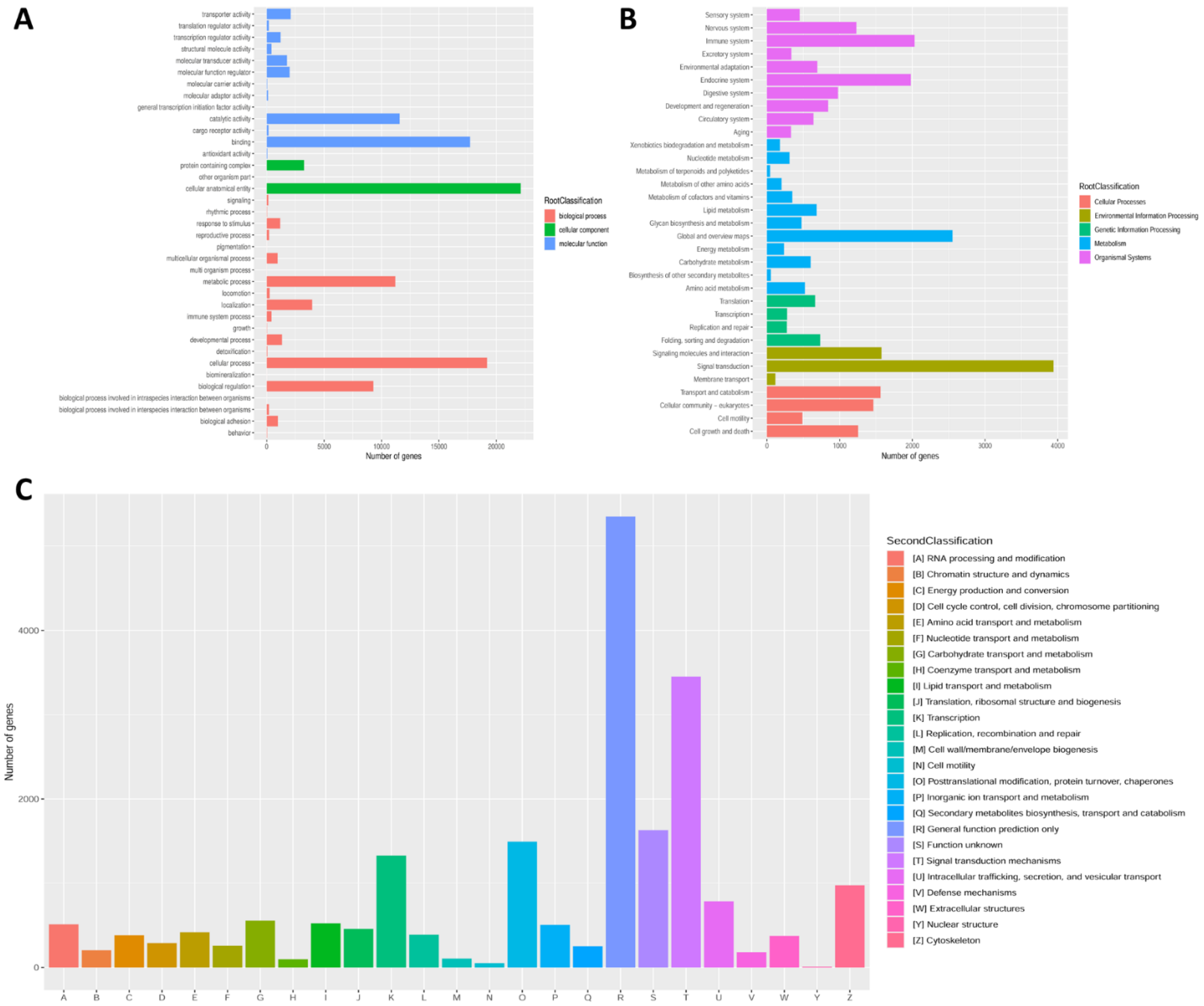 Animals 13 00166 g003 Animals 13 00166 g003