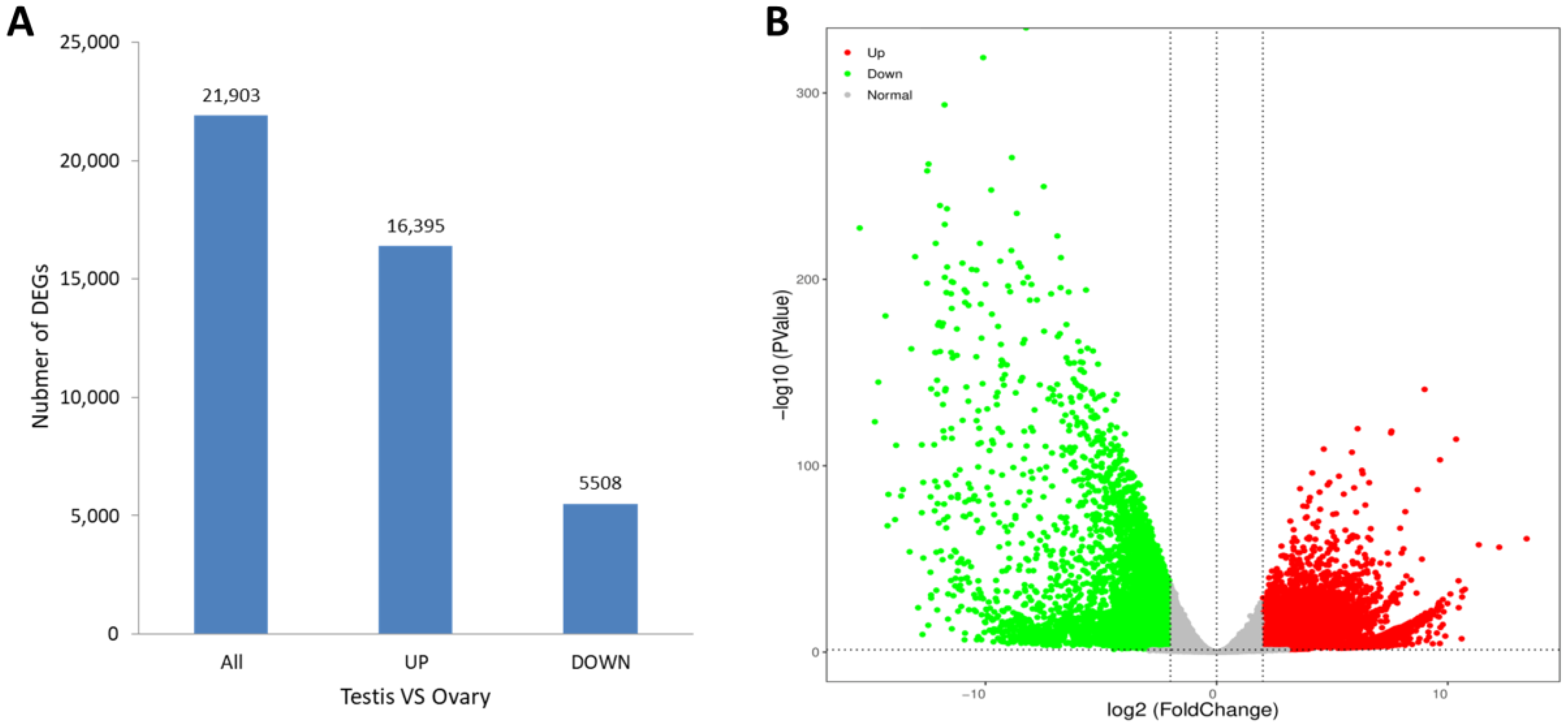 Animals 13 00166 g004 Animals 13 00166 g004