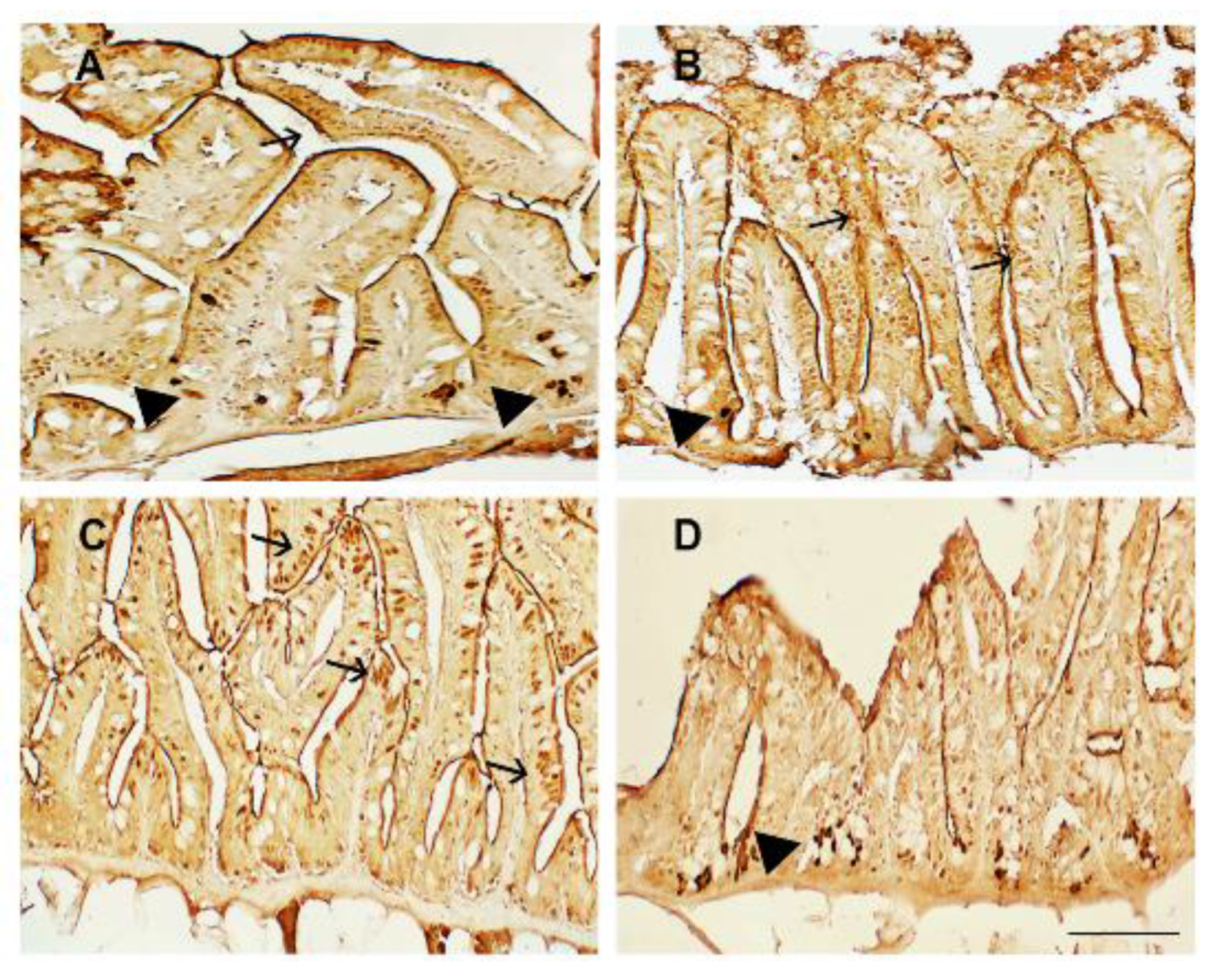 Animals 13 00167 g002 Animals 13 00167 g002