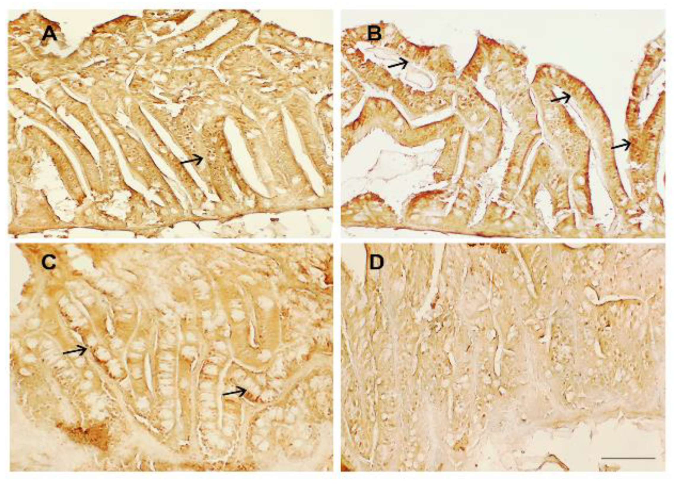 Animals 13 00167 g003 Animals 13 00167 g003