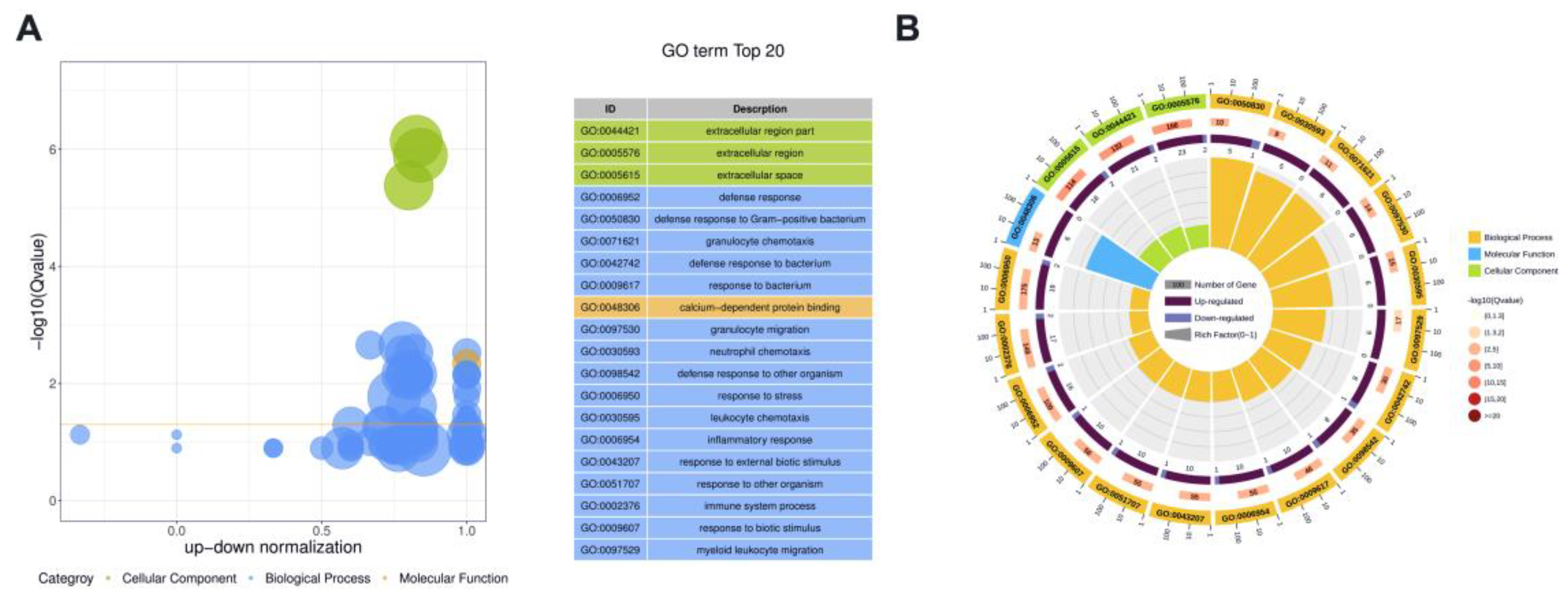 Animals 13 00171 g004 Animals 13 00171 g004