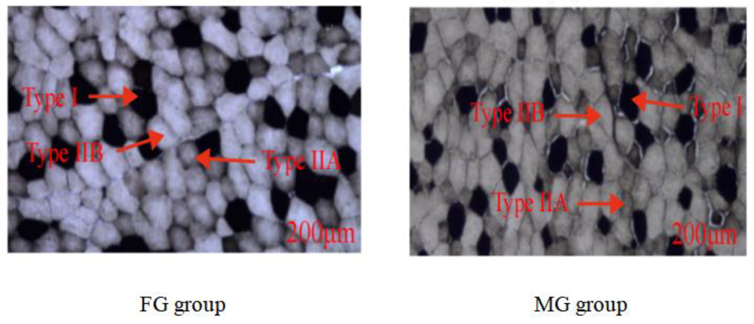 Animals 13 00172 g001 Animals 13 00172 g001