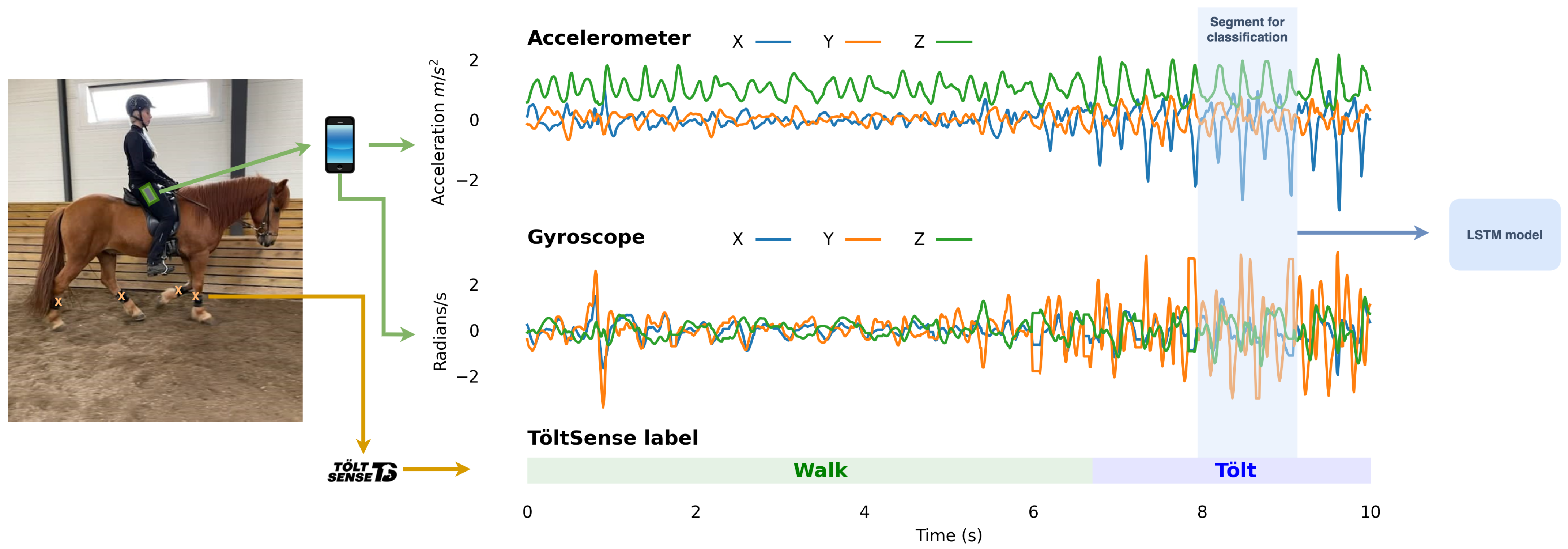 Animals 13 00183 g001