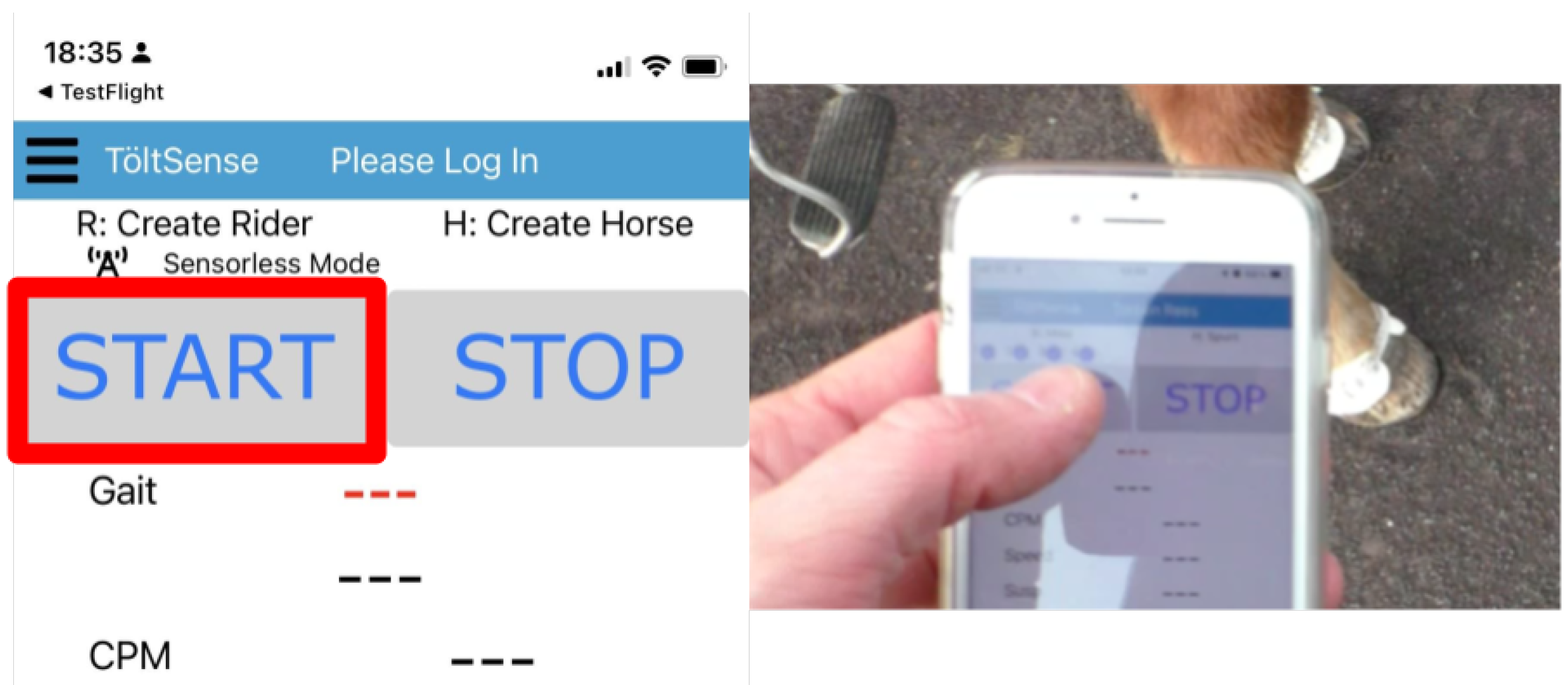 Animals 13 00183 g002