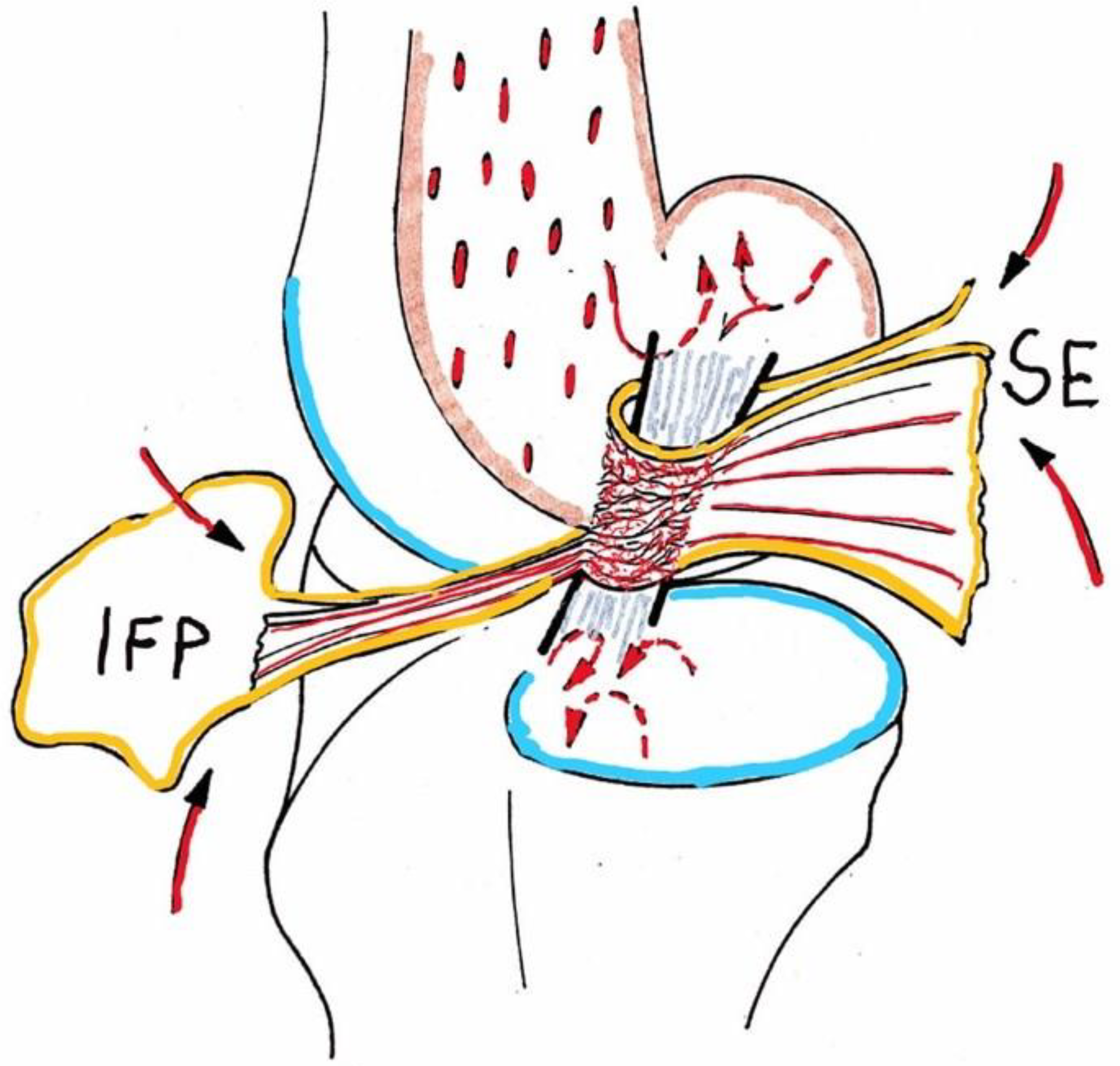 Animals 13 00187 g001 Animals 13 00187 g001