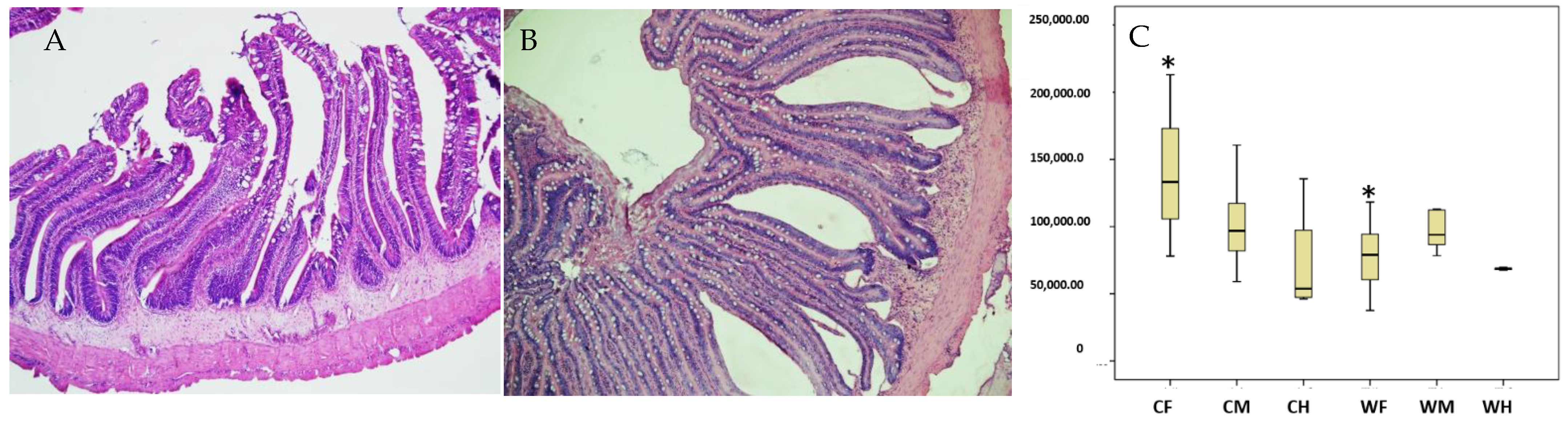 Animals 13 00189 g002