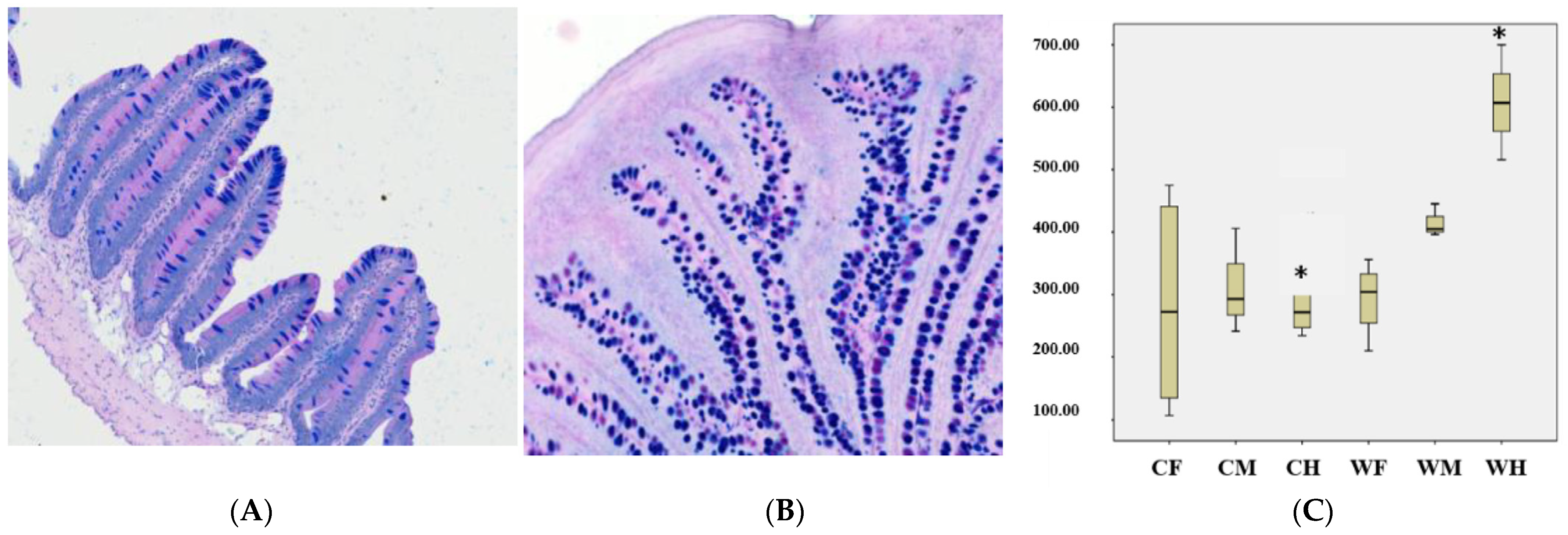 Animals 13 00189 g005