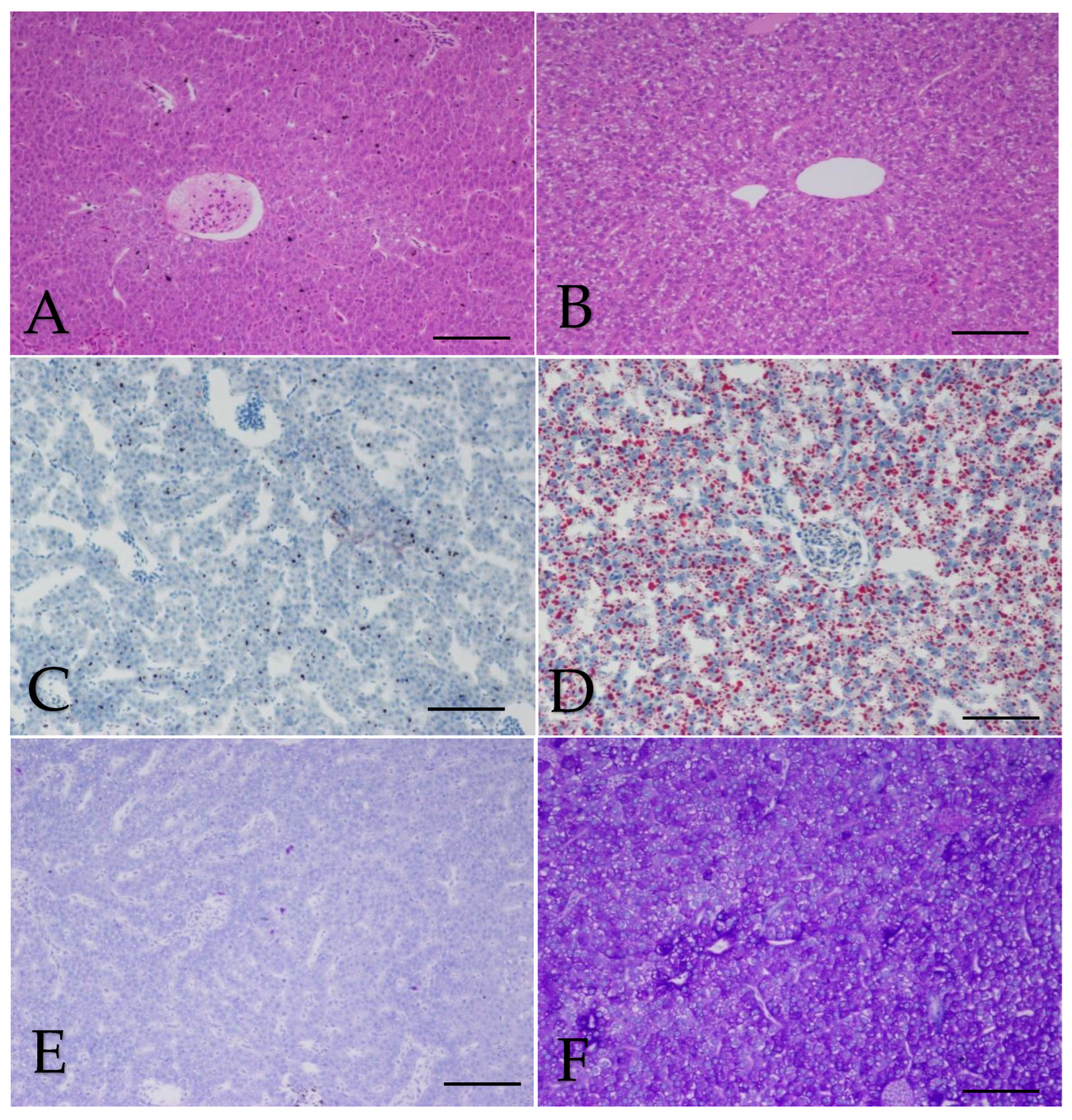 Animals 13 00189 g007