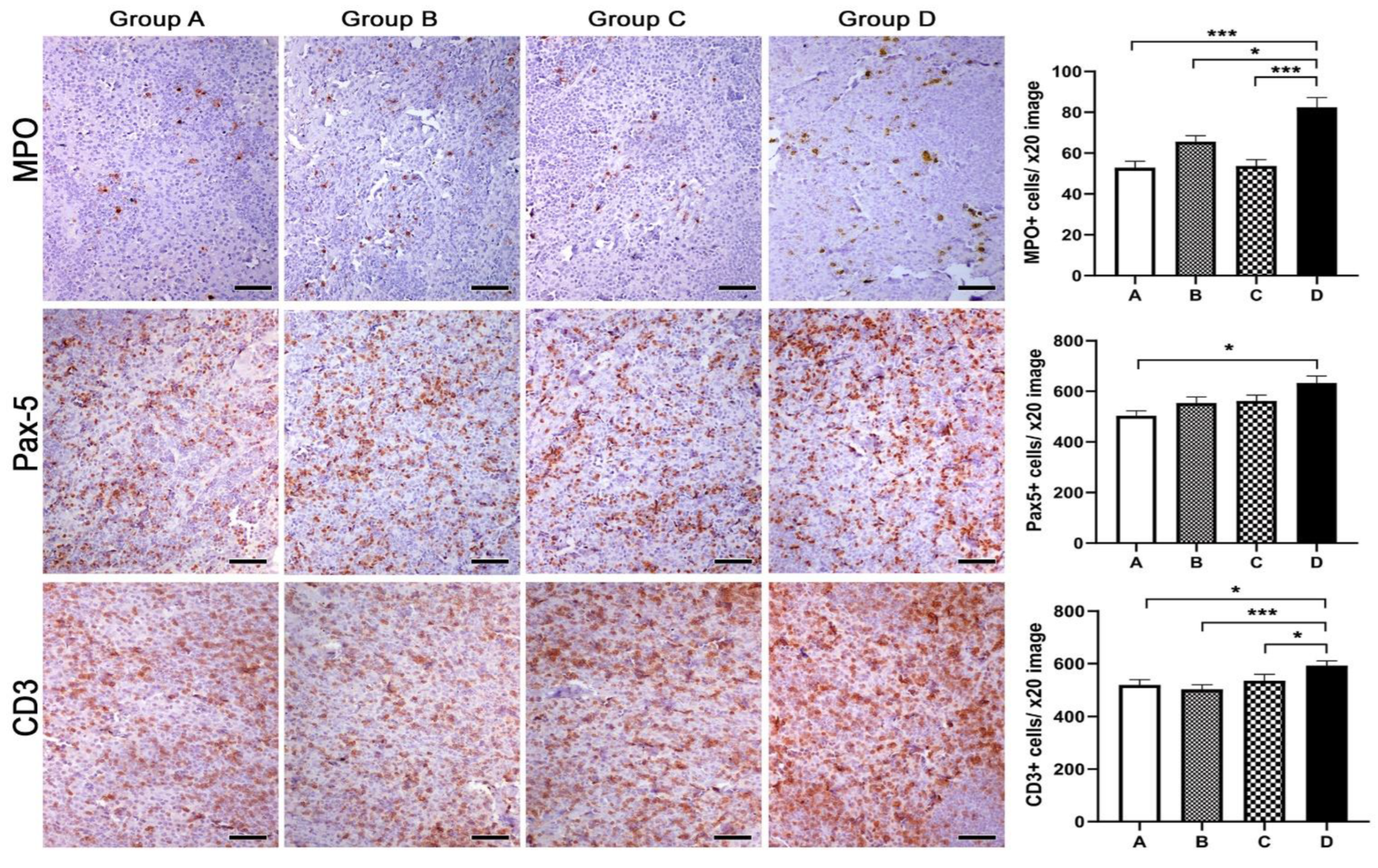 Animals 13 00190 g008 Animals 13 00190 g008